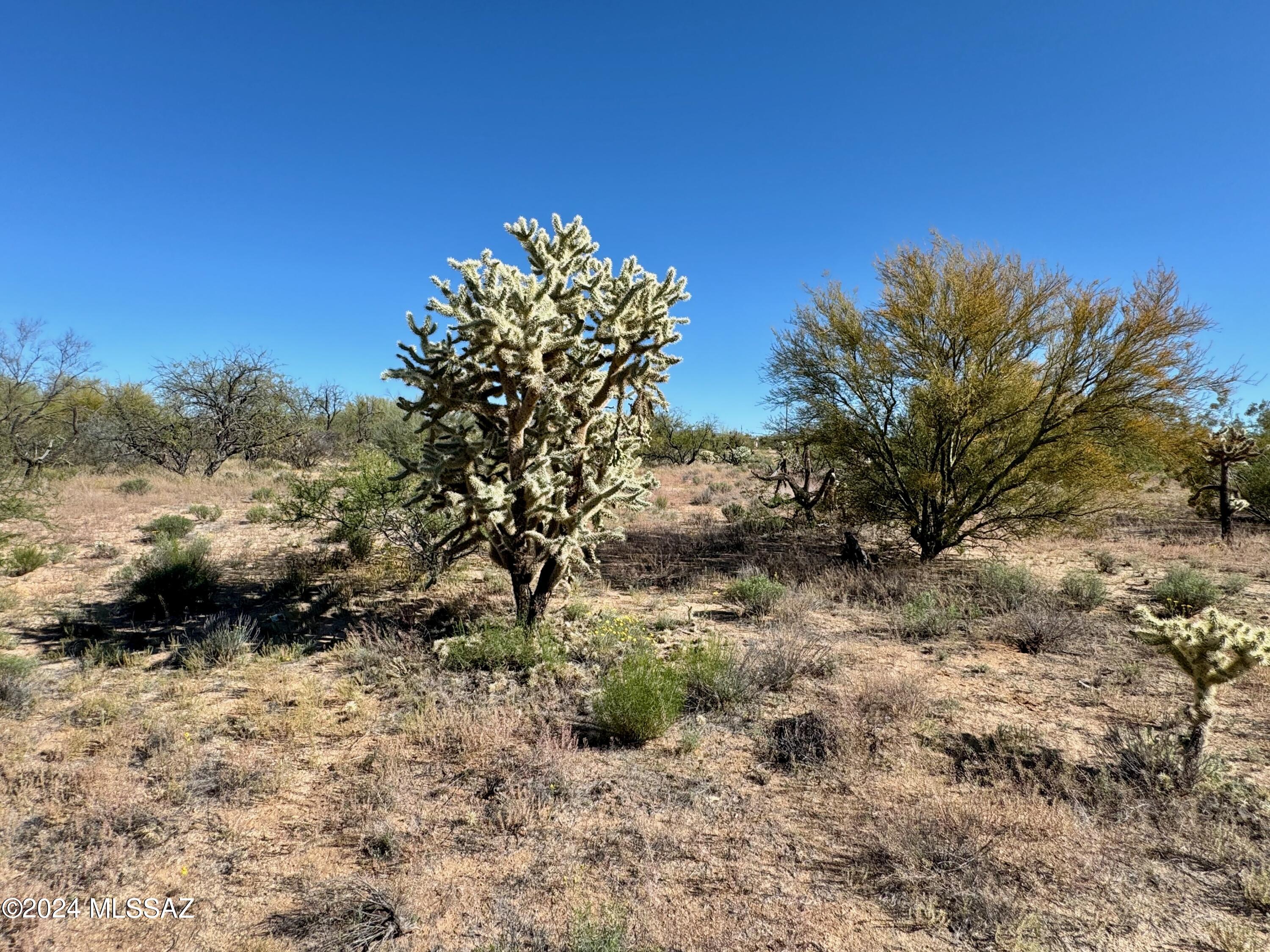 Diamond Bell Ranch Chaparral Unit (1-24, 26-228) - Land