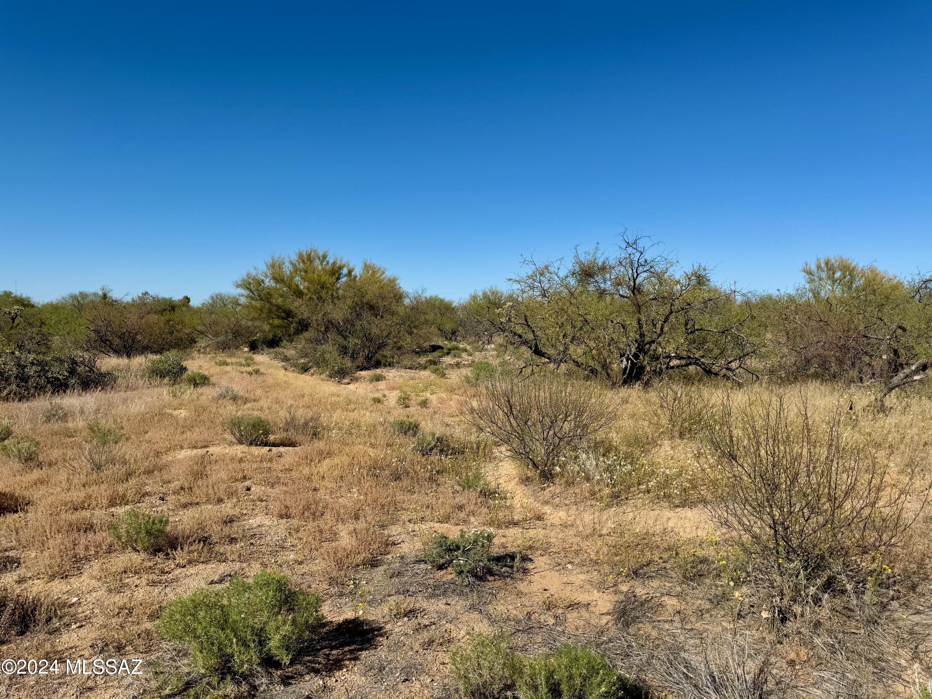 Diamond Bell Ranch Chaparral Unit (1-24, 26-228) - Land
