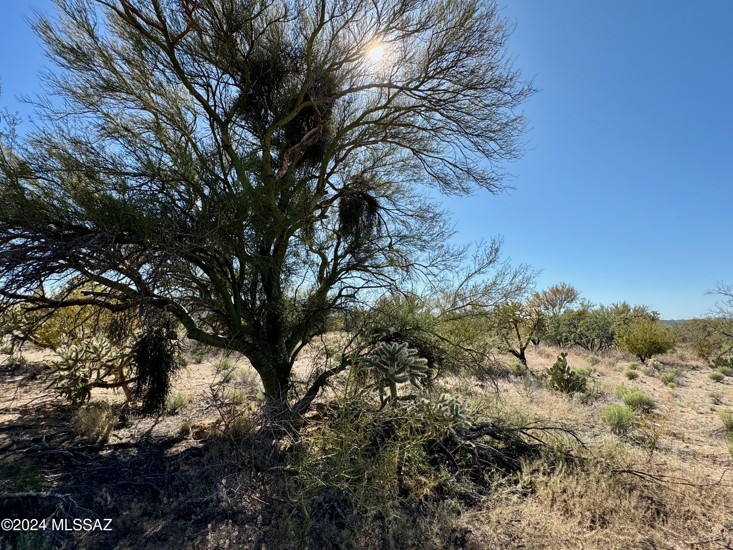 Diamond Bell Ranch Chaparral Unit (1-24, 26-228) - Land