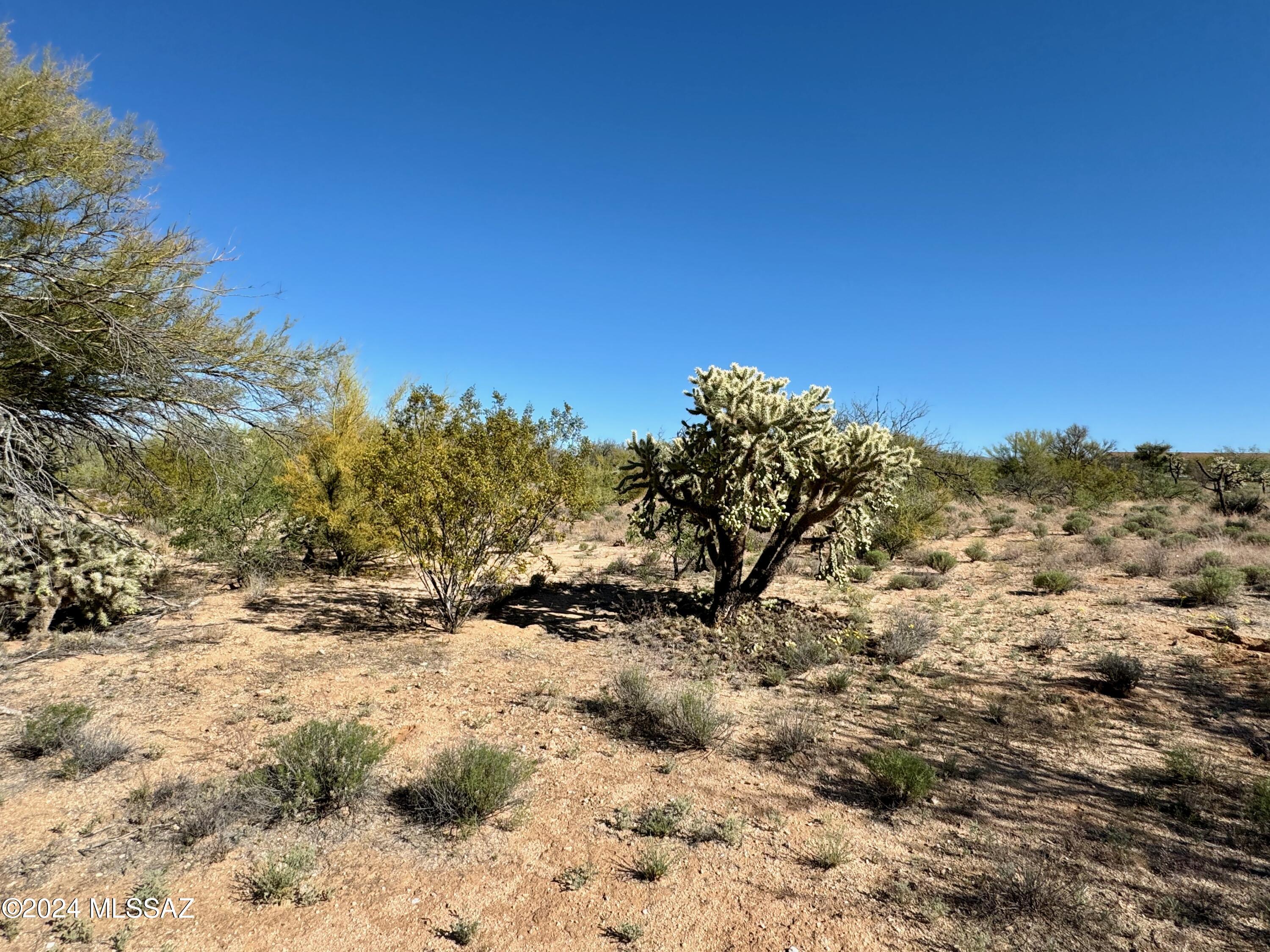 Diamond Bell Ranch Chaparral Unit (1-24, 26-228) - Land