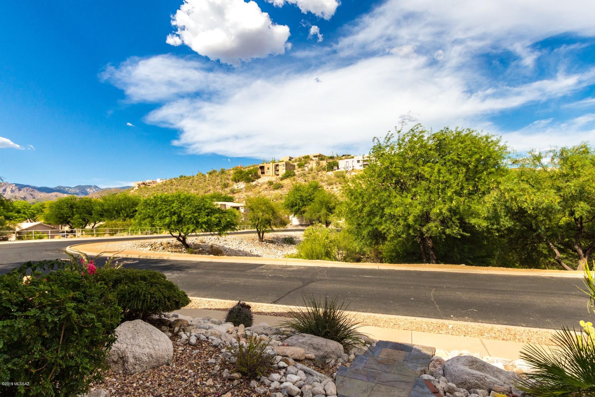 Sabino Mountain (1-290) - Residential