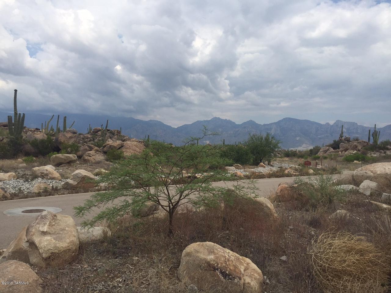 Stunning custom hillside lot located in Stone Canyon's phase IV.  Homesite has abundant saguaros, boulders and lush landscaping. Stop in for a private tour today!  PREMIER STONE CANYON PROPERTIES SITE OPEN 7 DAYS A WEEK, 9AM-5PM.