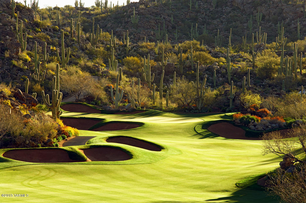 Stone Canyon IV - Land