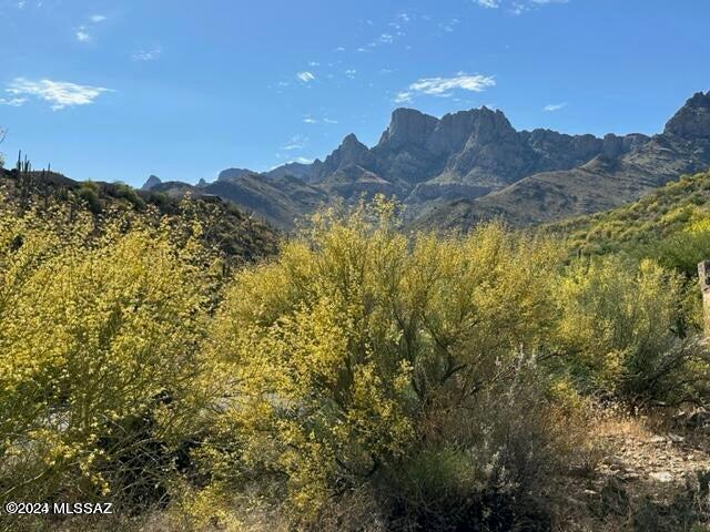 Unlock the potential to build your custom dream home on this remarkable 3.3-acre lot, nestled within the prestigious La Reserve. Situated behind a secure, manned gate, this expansive property offers stunning panoramic views, blending nature's beauty with endless possibilities for your architectural creativity. Positioned along the scenic slopes of Pusch Ridge, the land offers a prime location that truly embodies the natural charm of Oro Valley. With its generous size and gently sloping landscape, this lot is perfectly poised for a custom-built residence. Whether you aspire to create a sleek modern design or a charming hideaway, the opportunities here are limitless. Shape every element to match your vision and craft a home that mirrors your distinct style and needs.