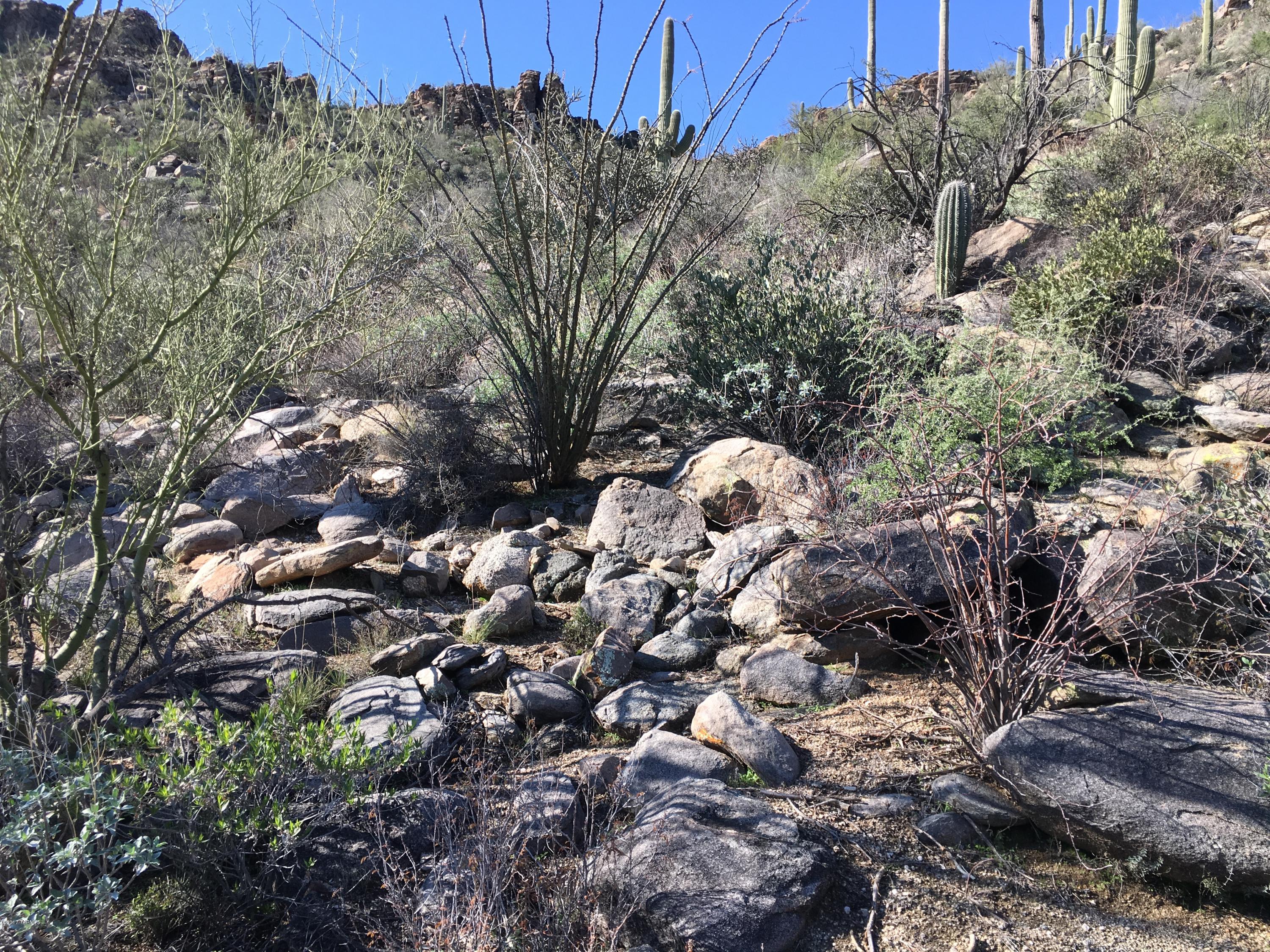Canyon Pass At Dove Mountain - Land