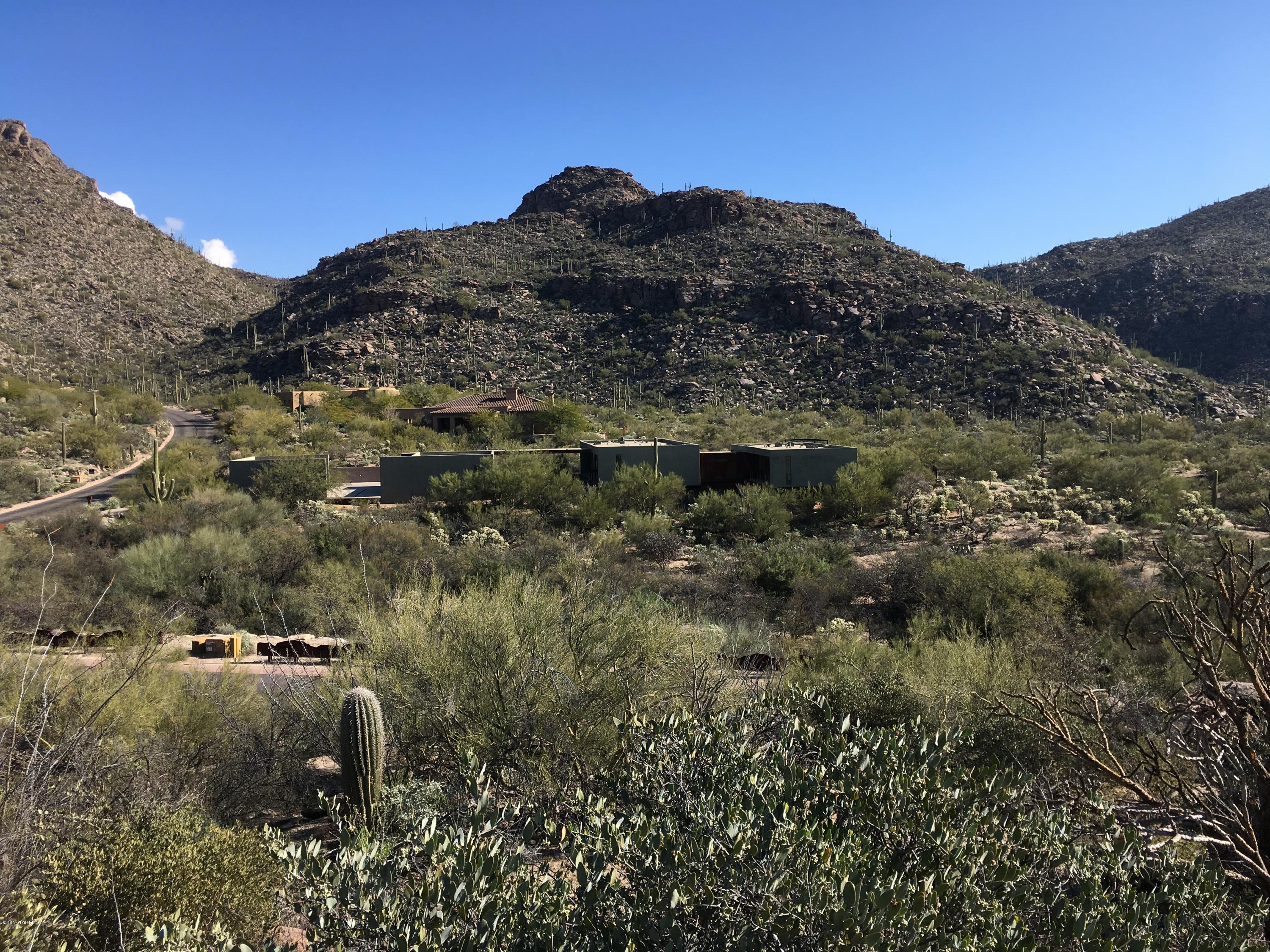 Canyon Pass At Dove Mountain - Land