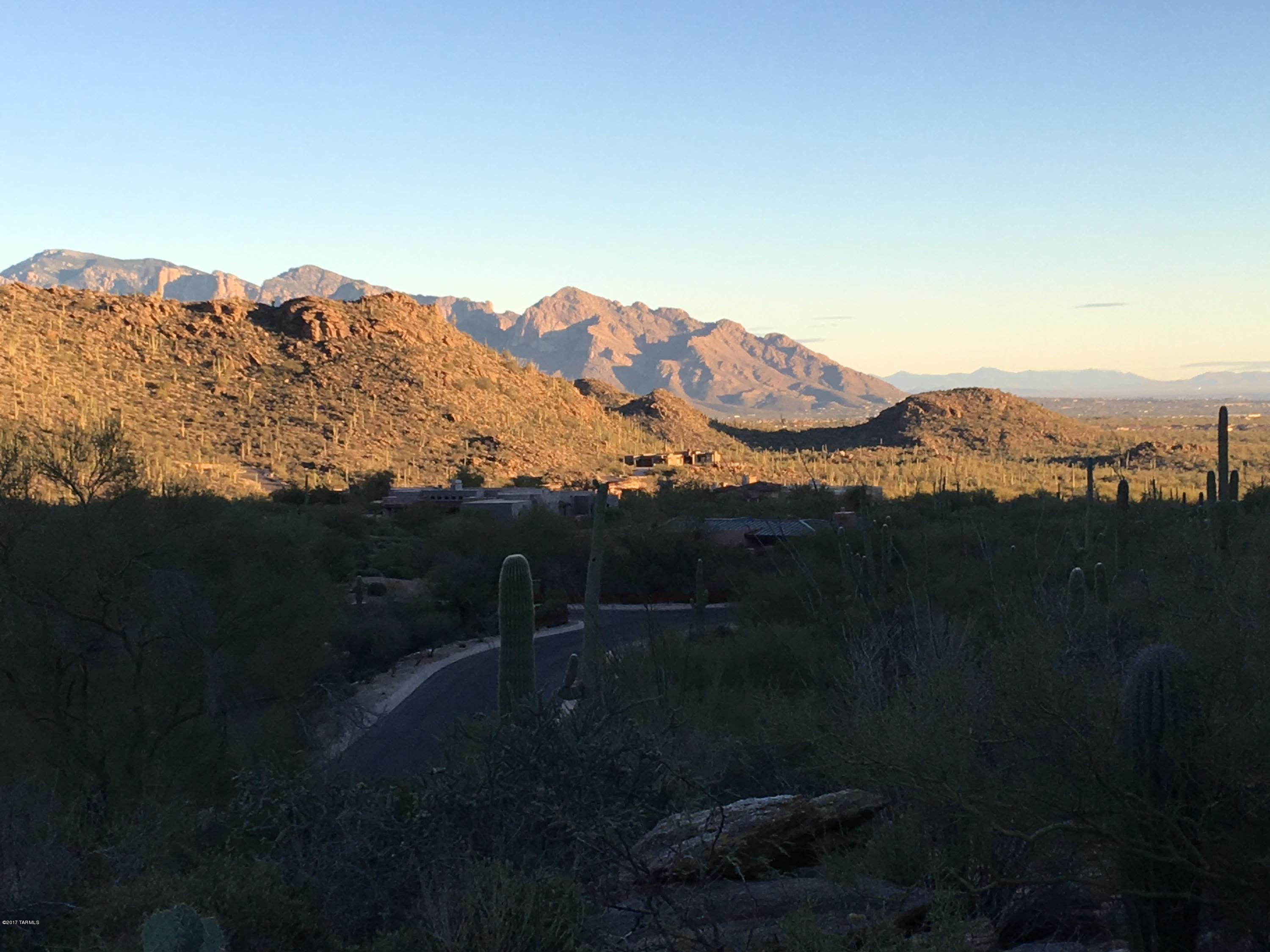 Canyon Pass At Dove Mountain - Land