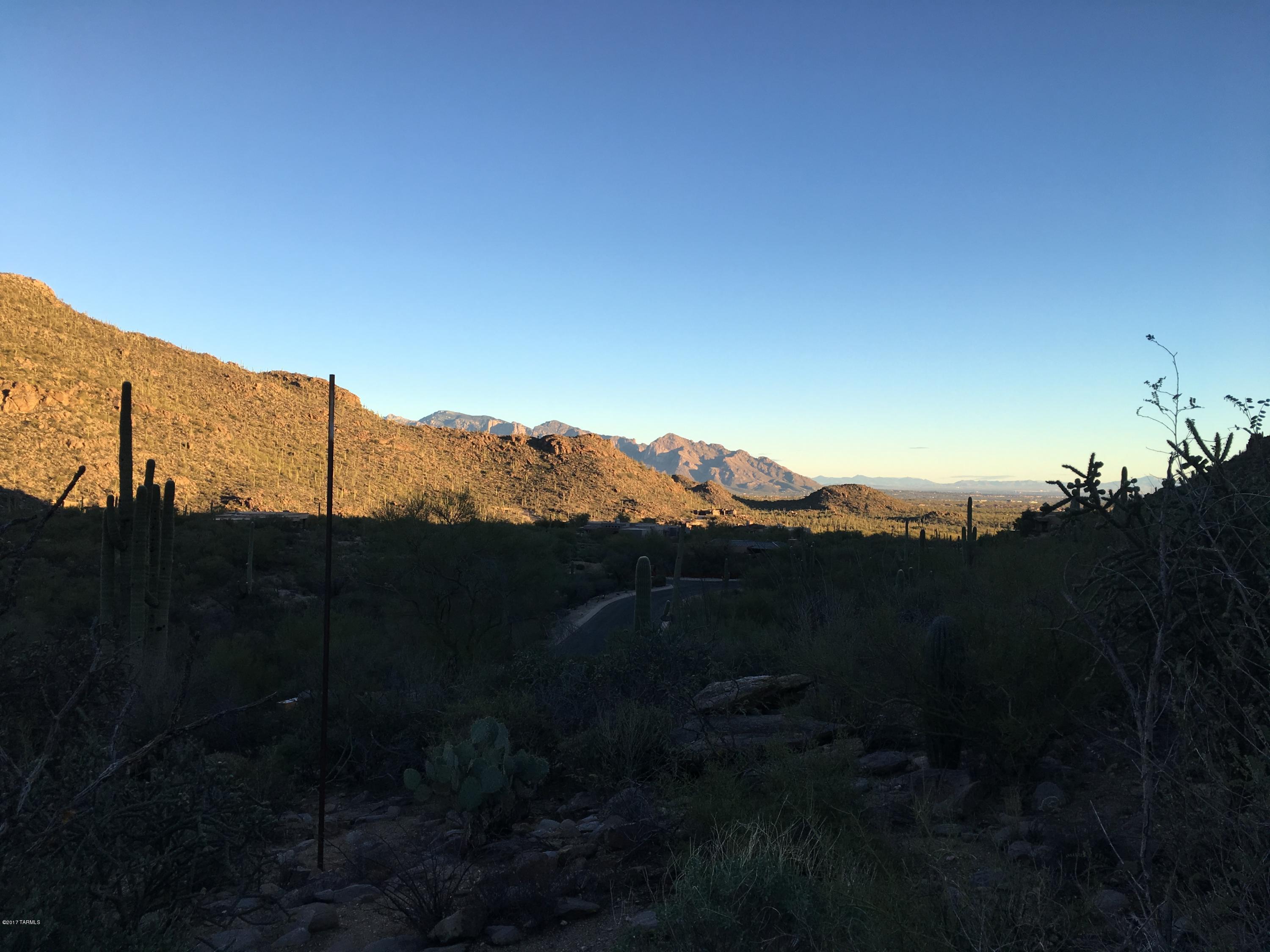 Canyon Pass At Dove Mountain - Land