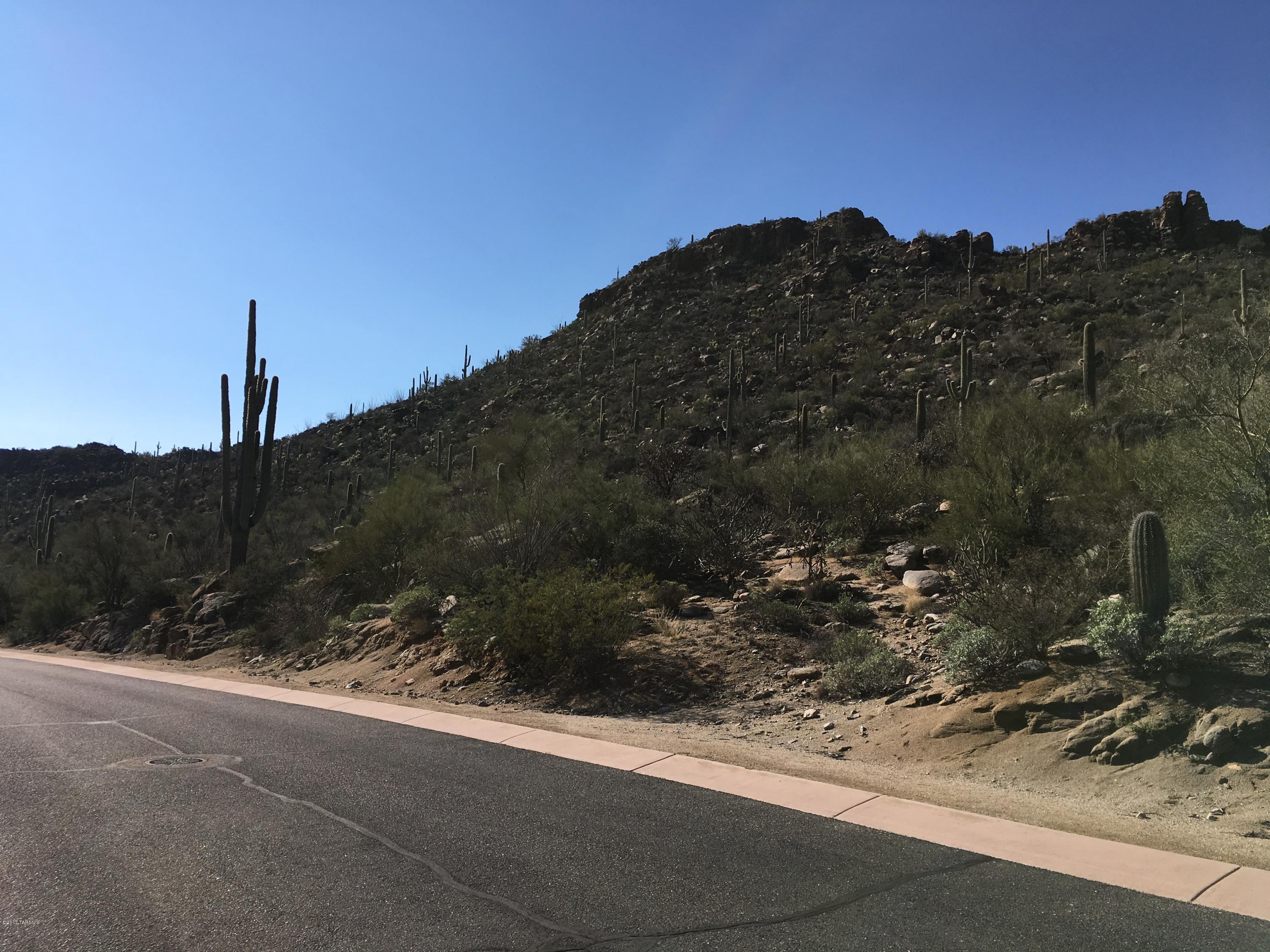 Canyon Pass At Dove Mountain - Land