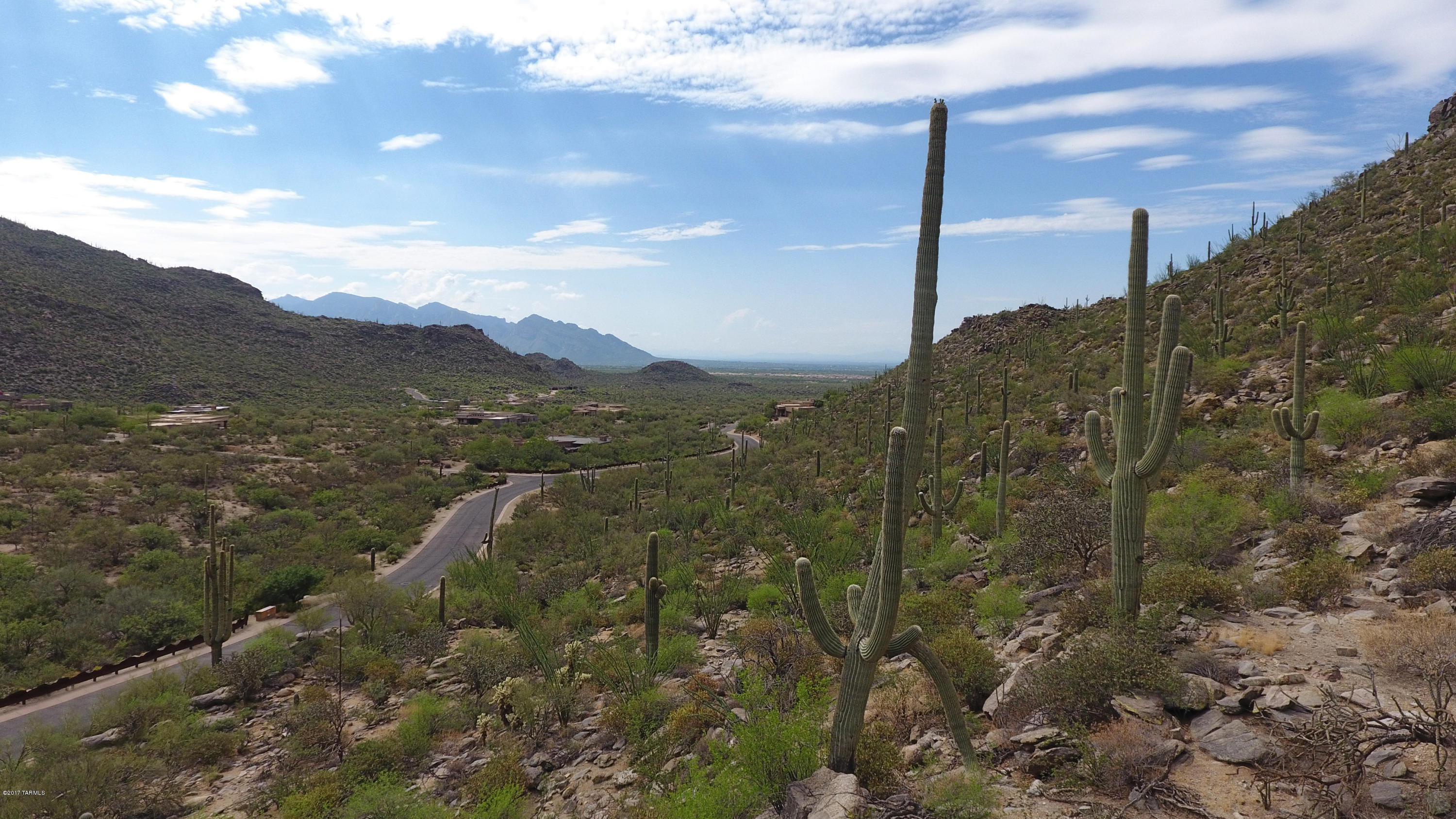 Canyon Pass At Dove Mountain - Land