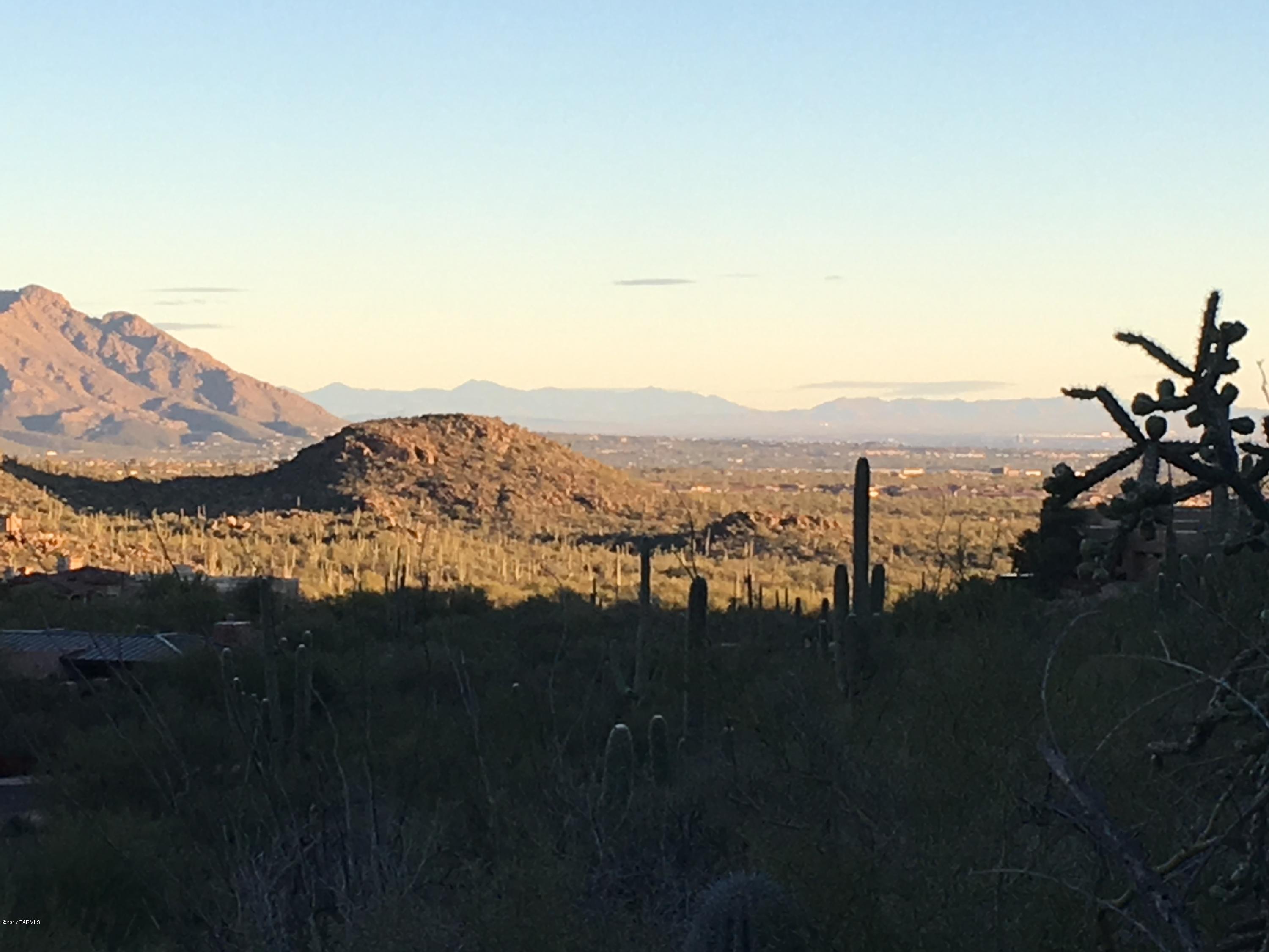 Canyon Pass At Dove Mountain - Land