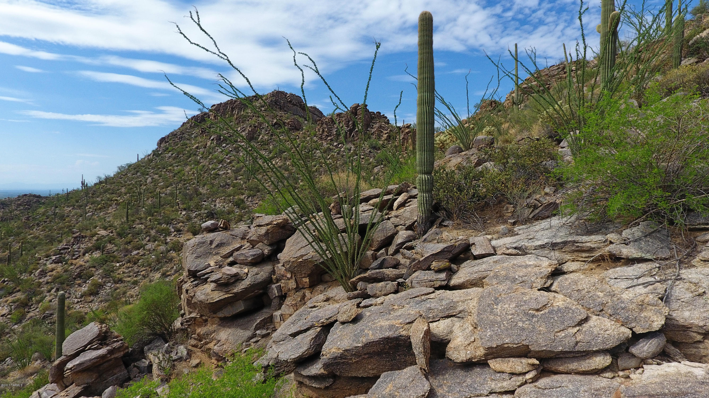 Canyon Pass At Dove Mountain - Land