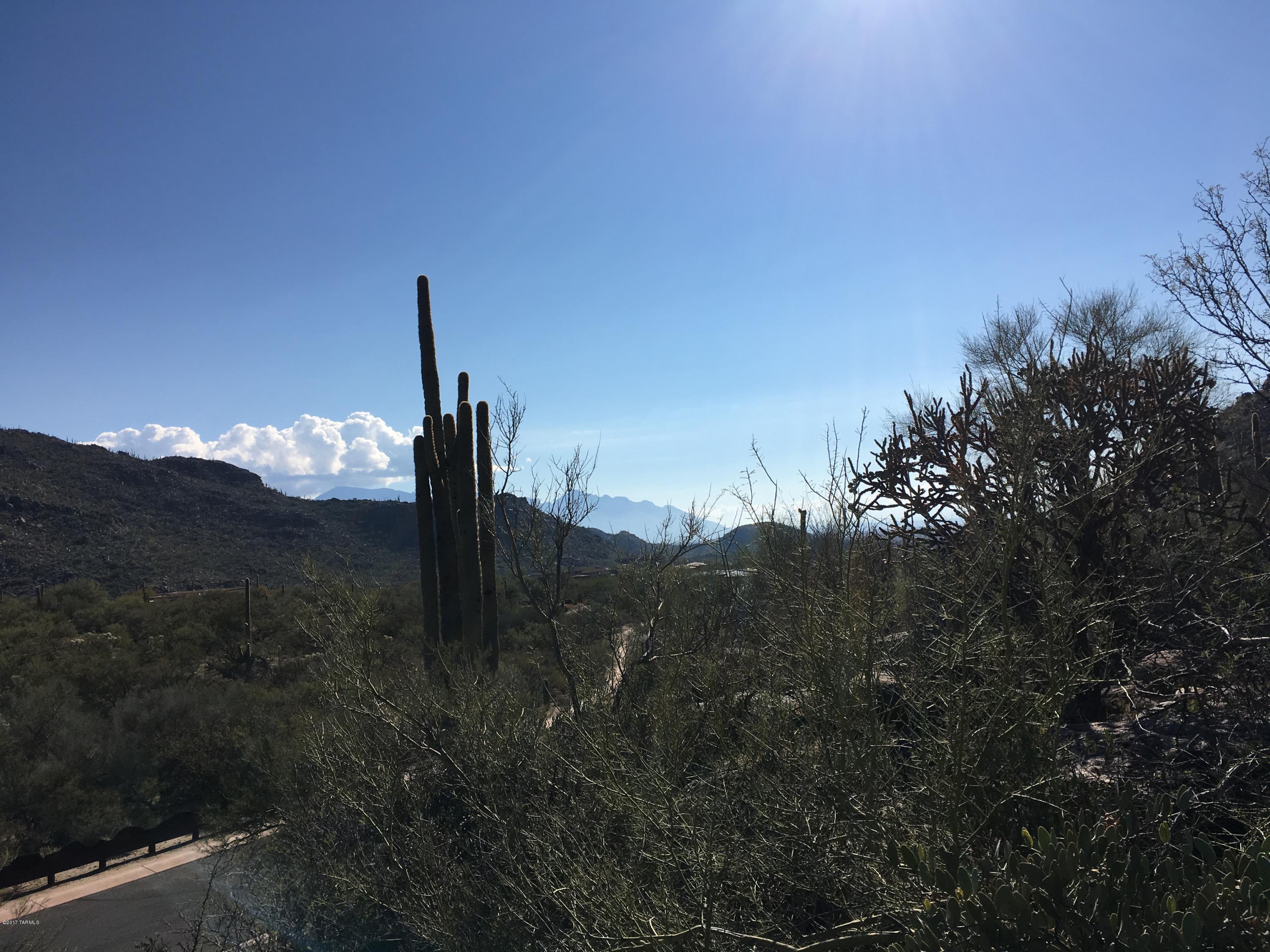Canyon Pass At Dove Mountain - Land