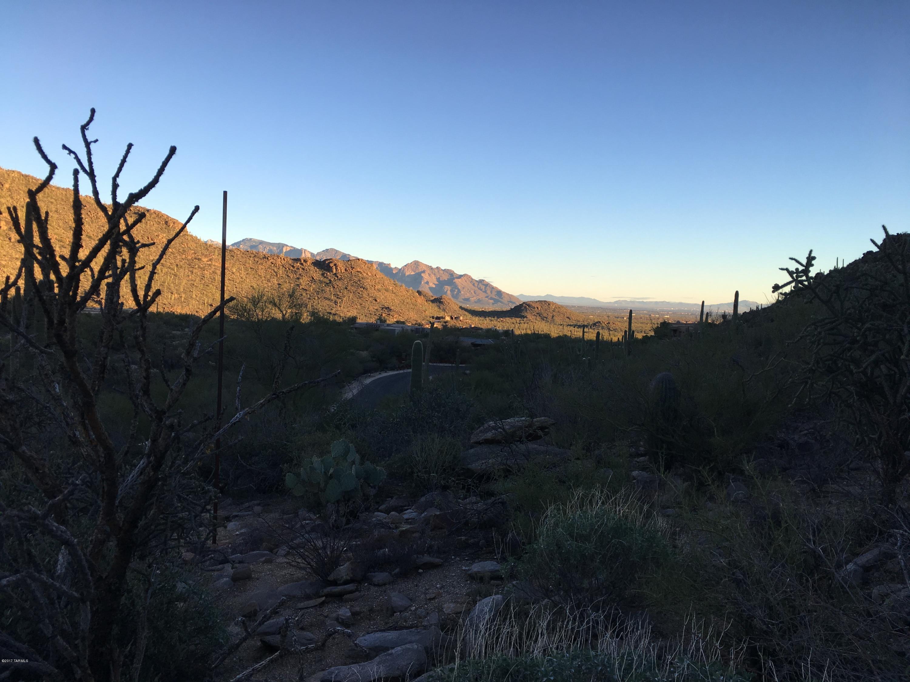 Canyon Pass At Dove Mountain - Land