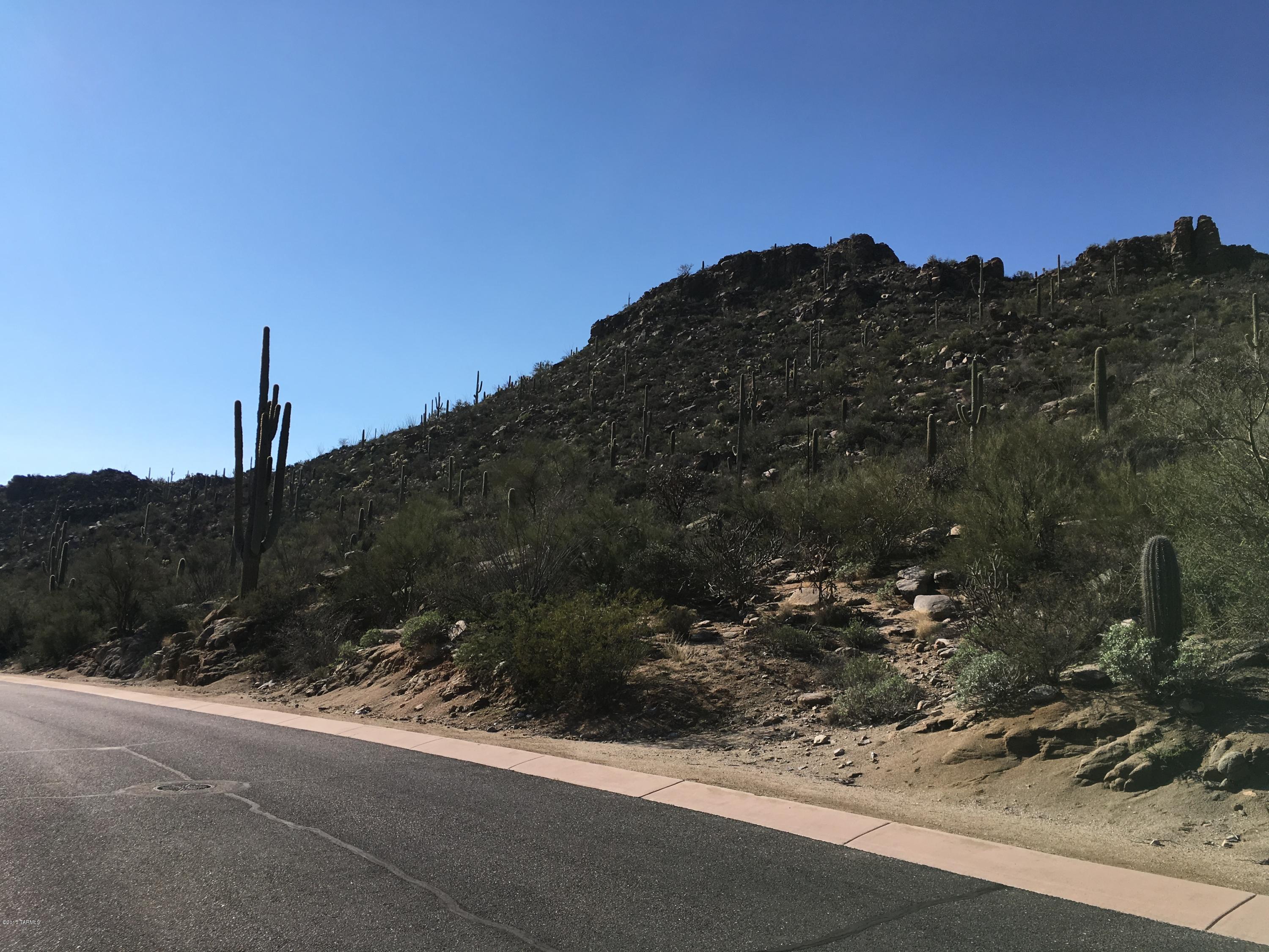 Canyon Pass At Dove Mountain - Land