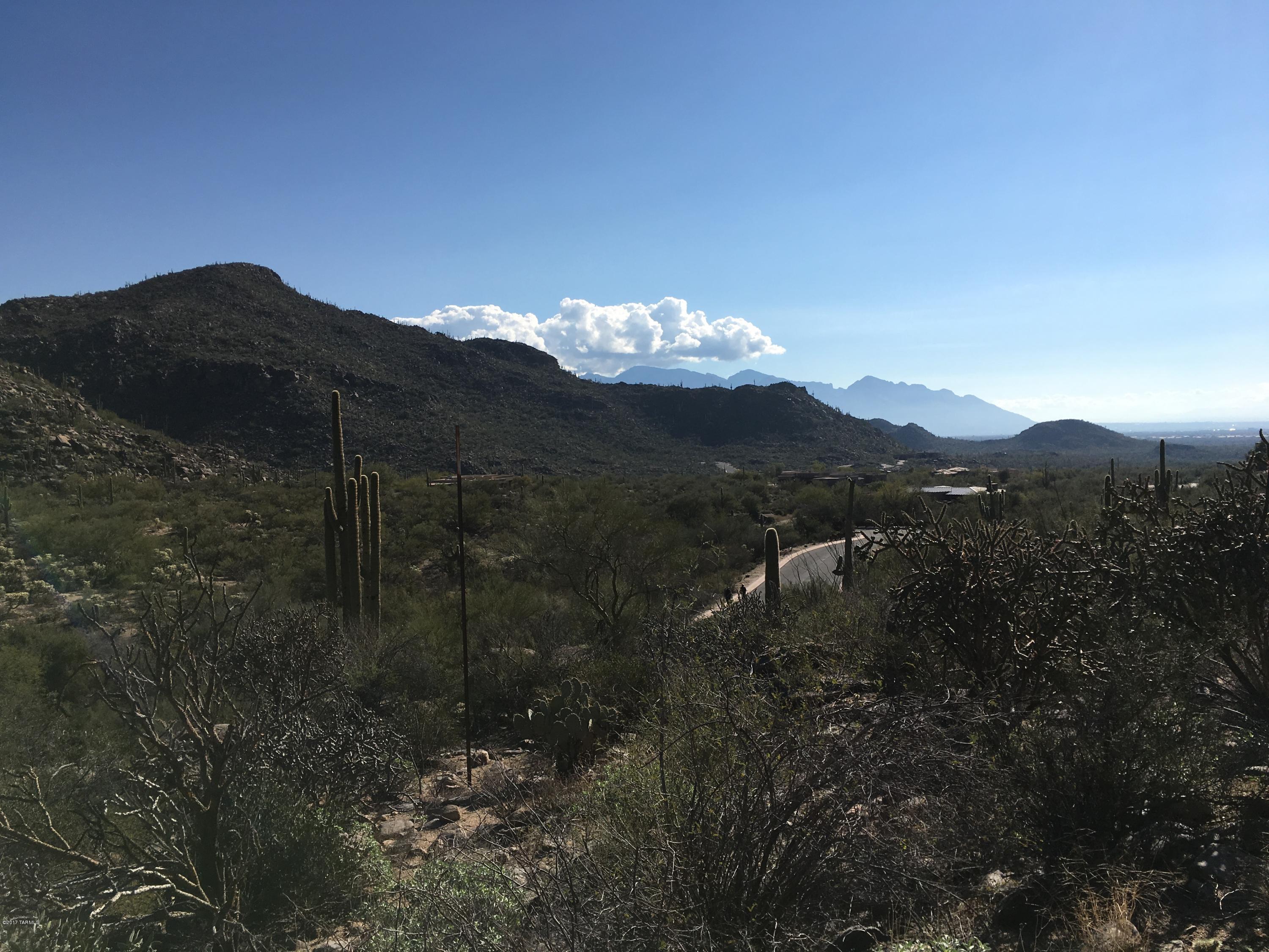 Canyon Pass At Dove Mountain - Land