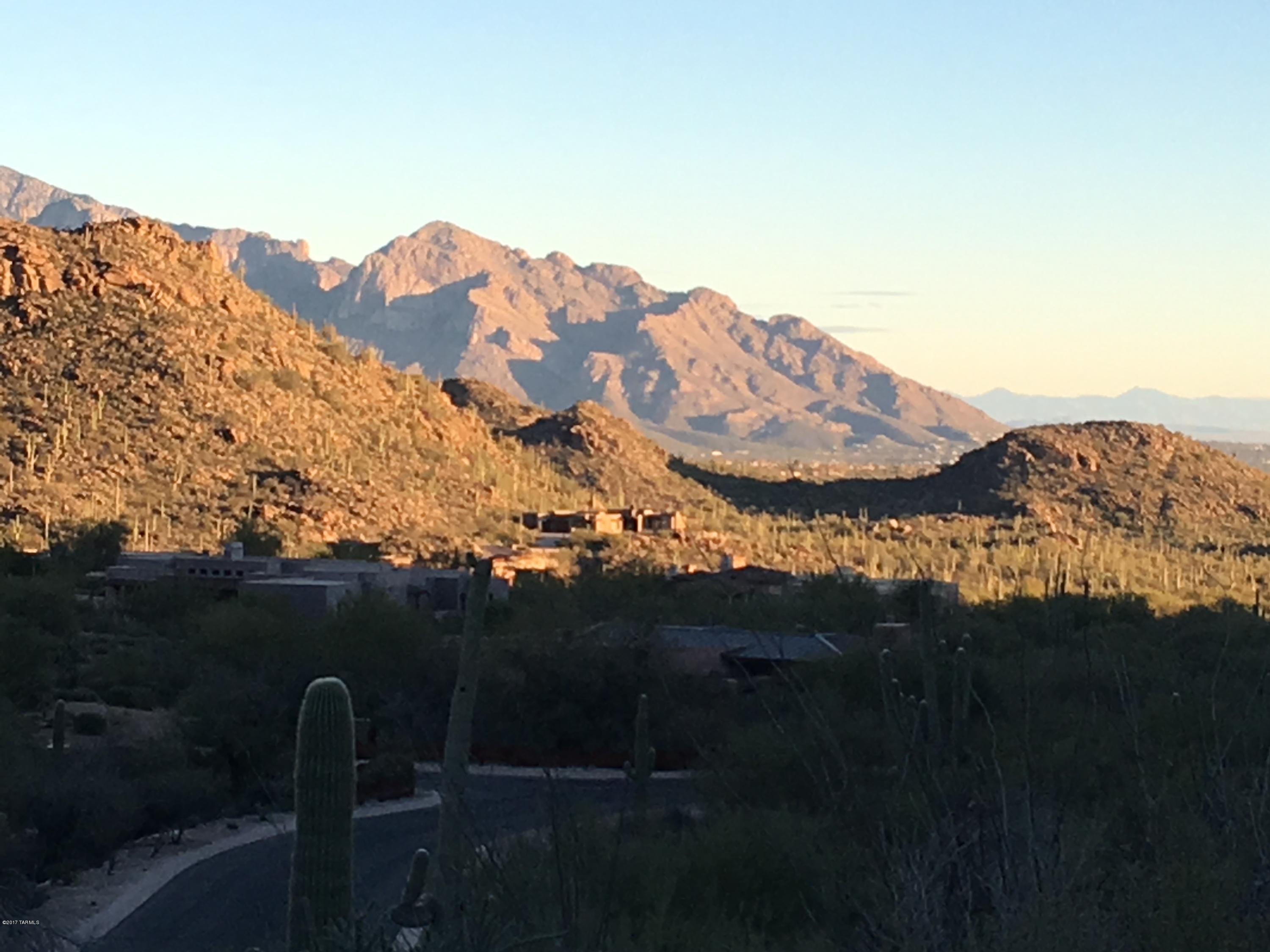 Canyon Pass At Dove Mountain - Land