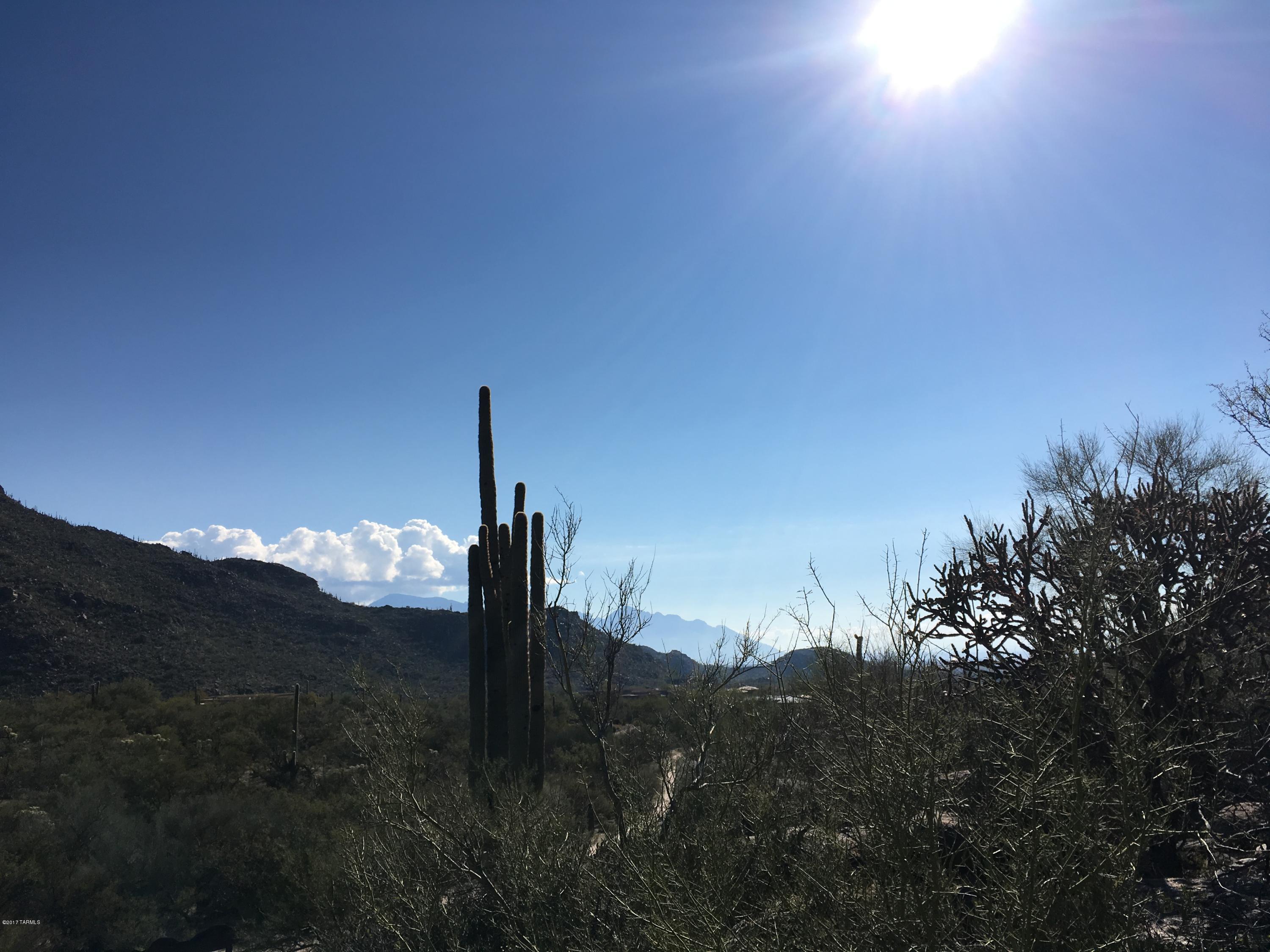 Canyon Pass At Dove Mountain - Land