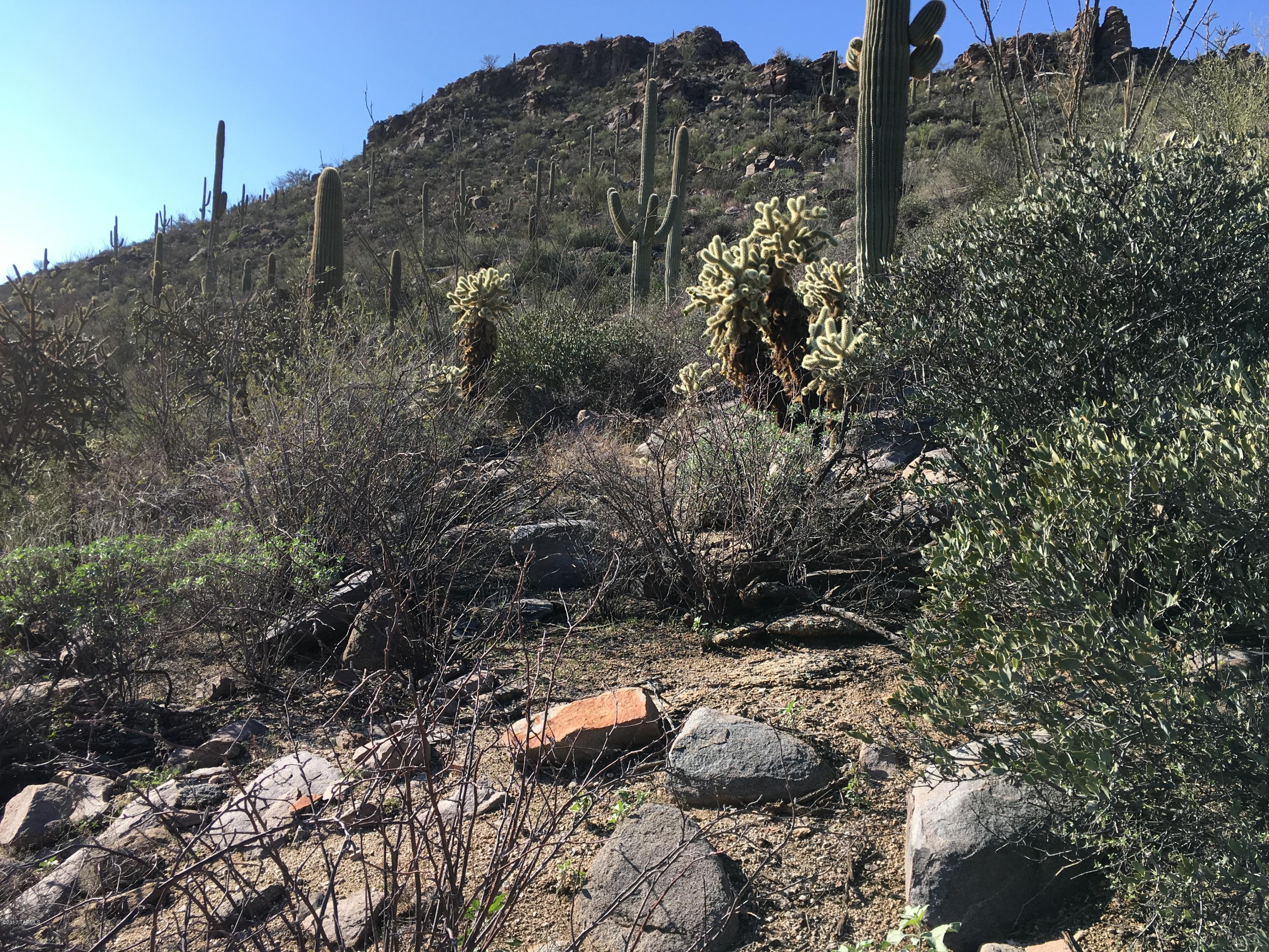Canyon Pass At Dove Mountain - Land