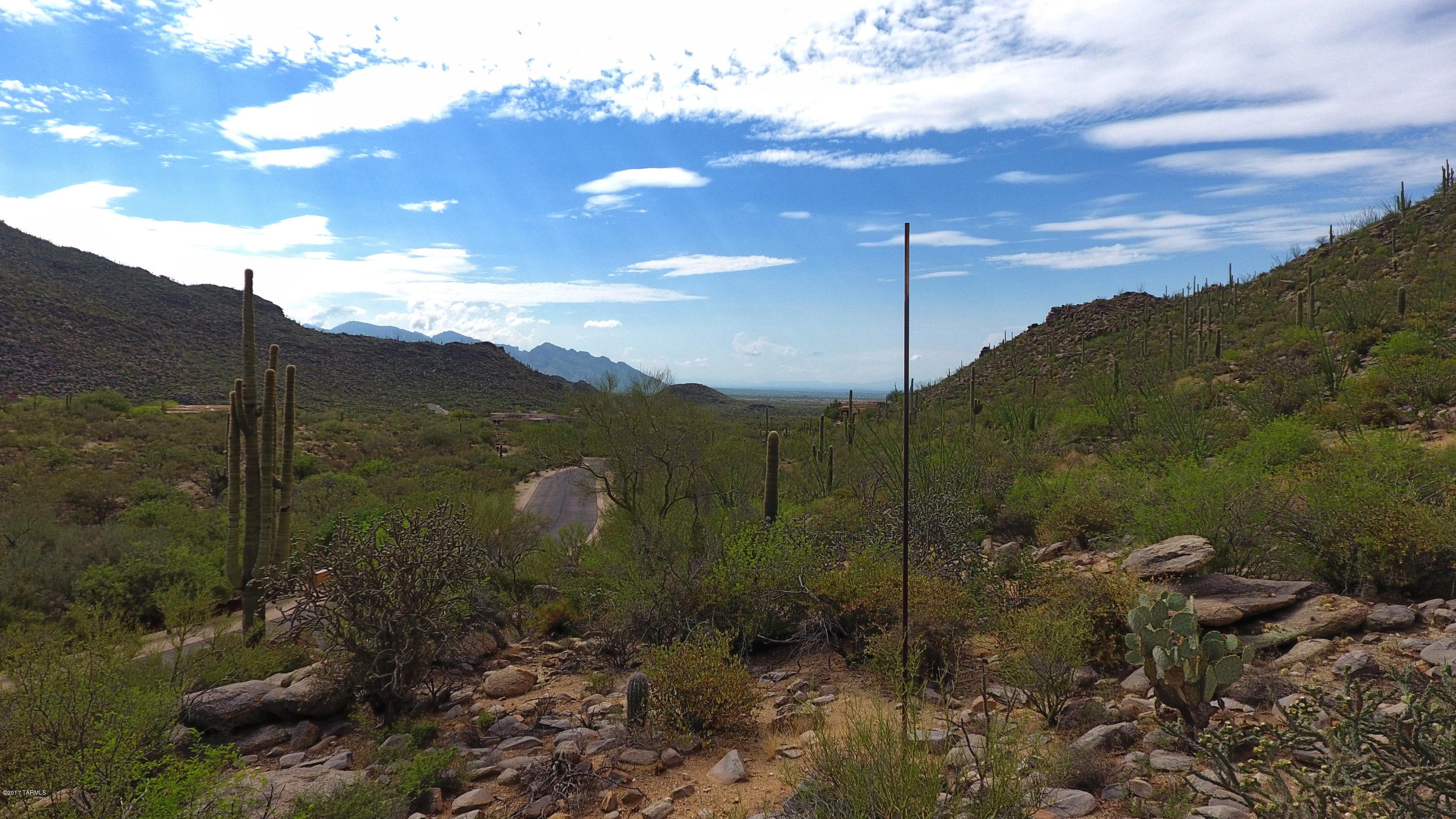 Canyon Pass At Dove Mountain - Land