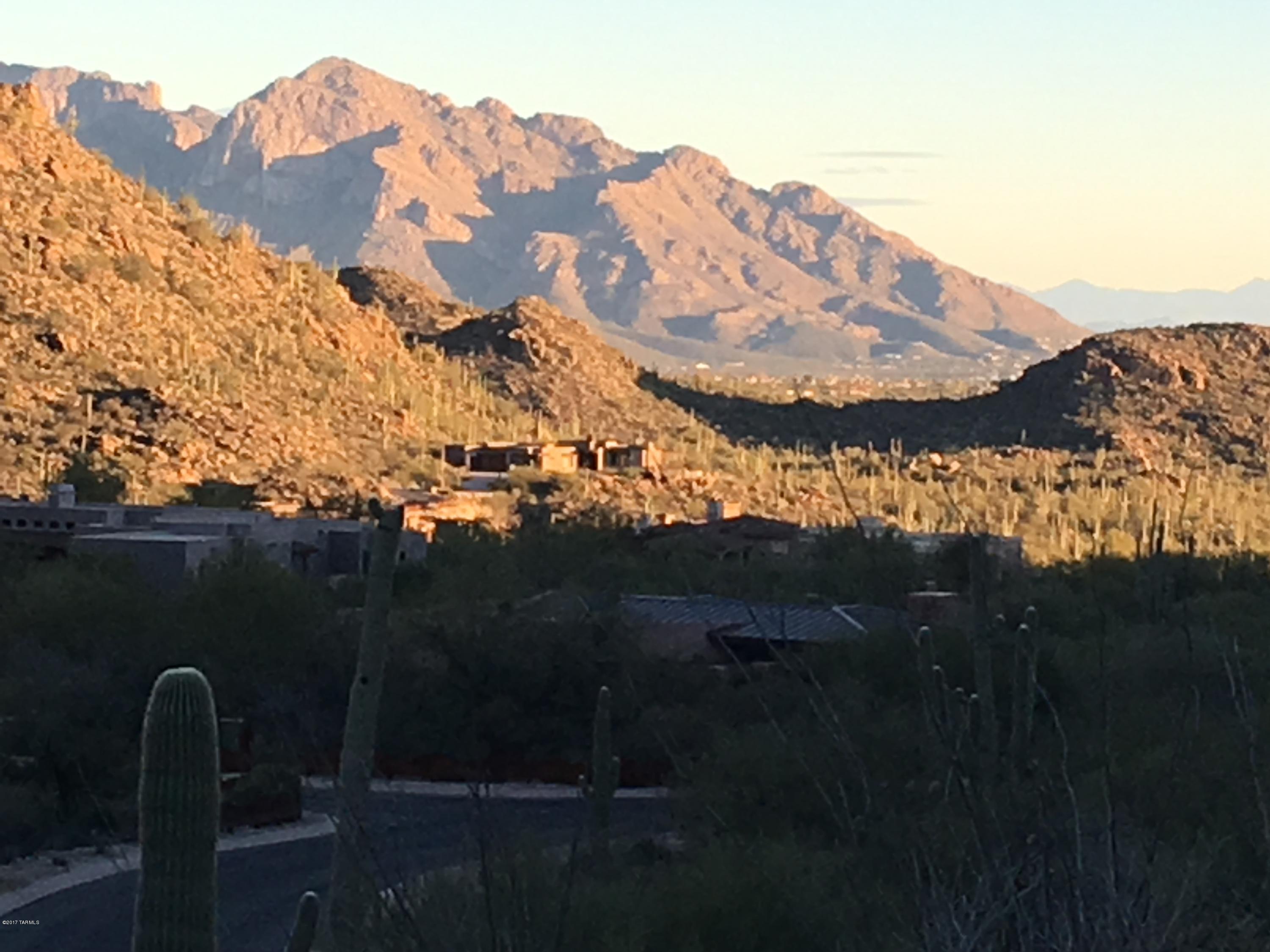 Canyon Pass At Dove Mountain - Land