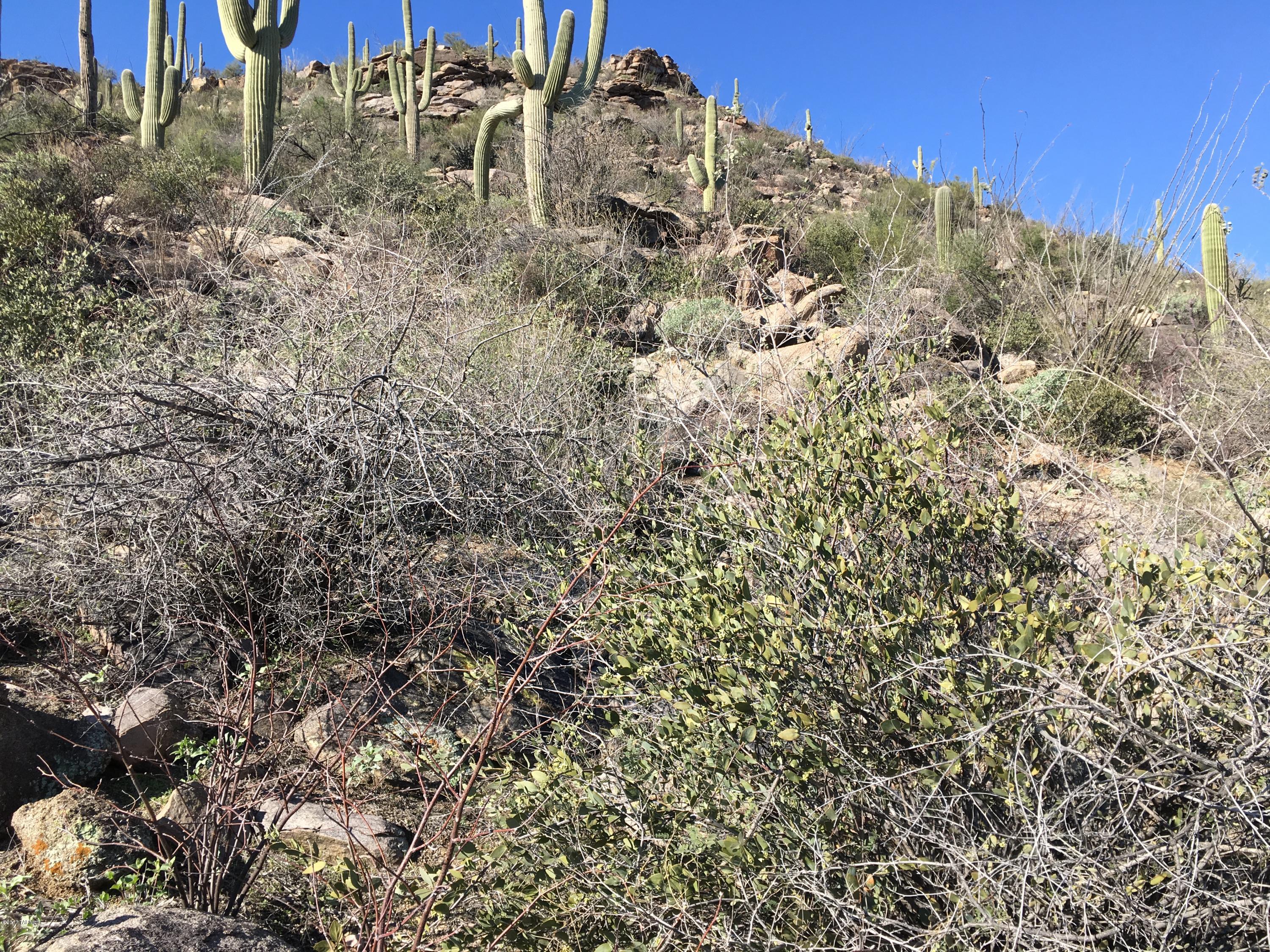 Canyon Pass At Dove Mountain - Land