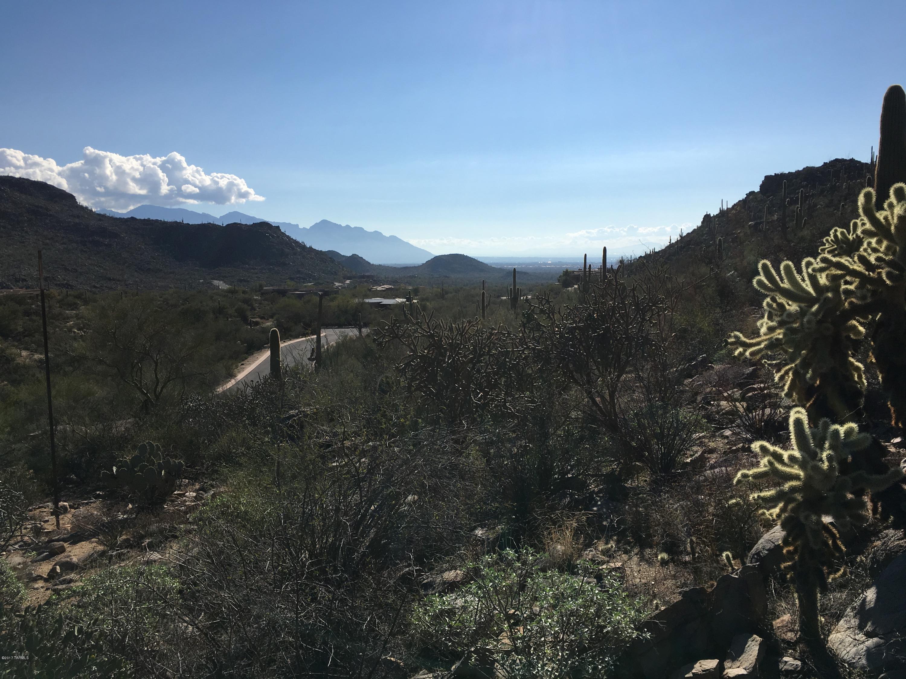 Canyon Pass At Dove Mountain - Land
