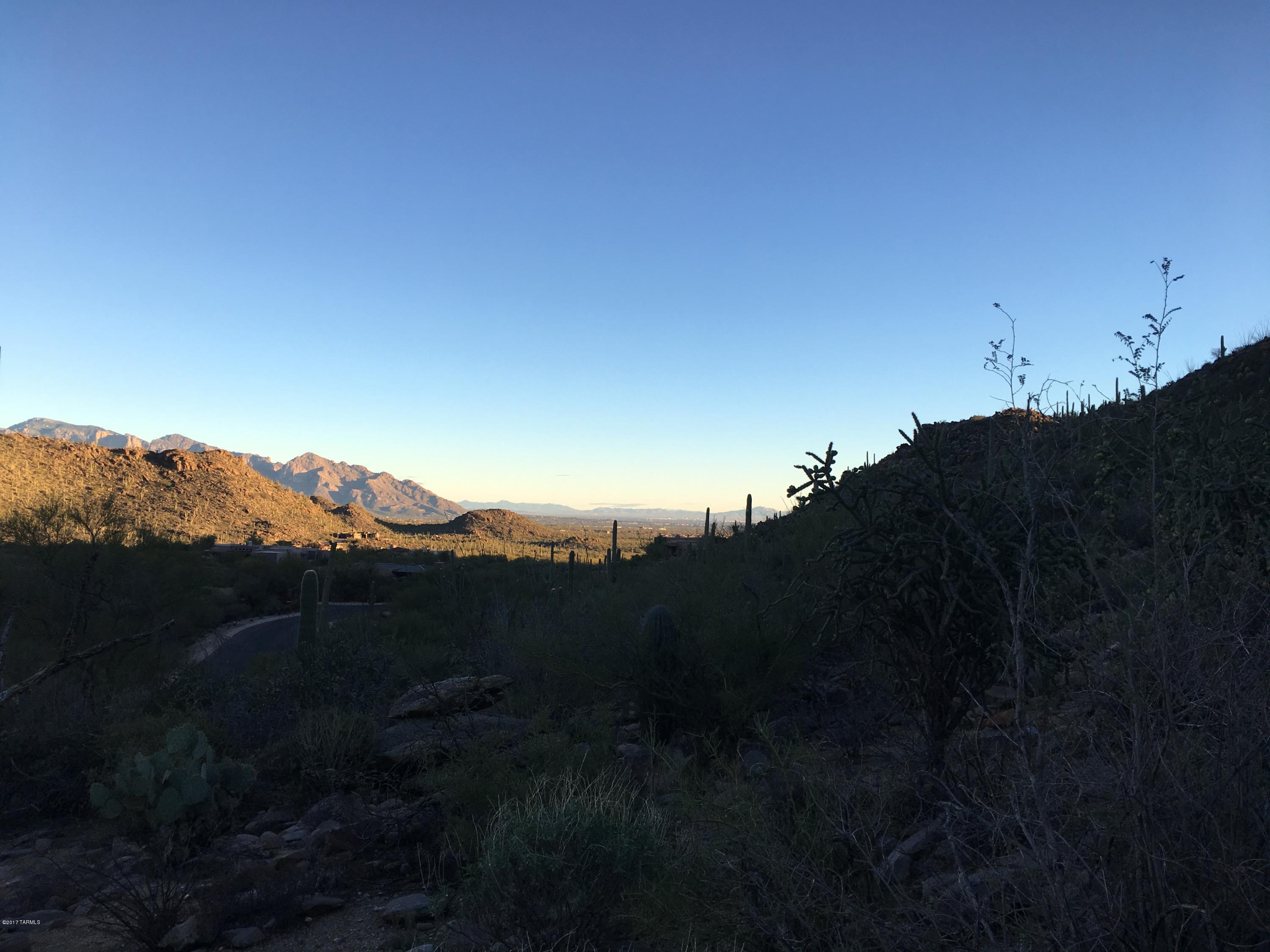 Canyon Pass At Dove Mountain - Land