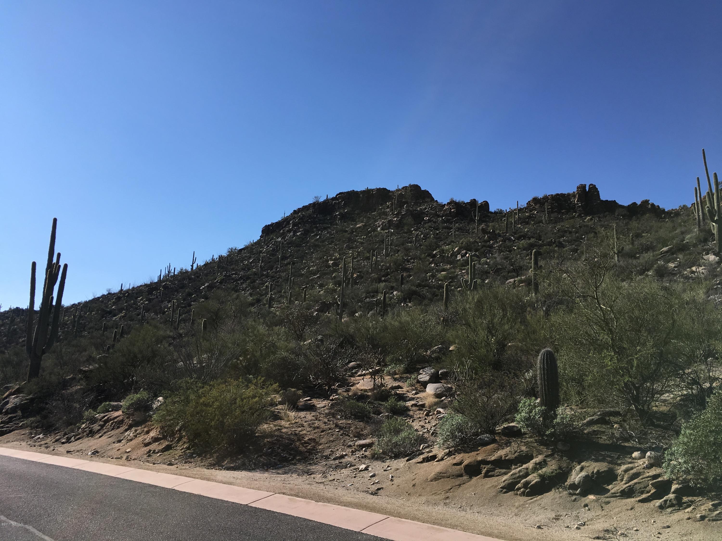 Canyon Pass At Dove Mountain - Land