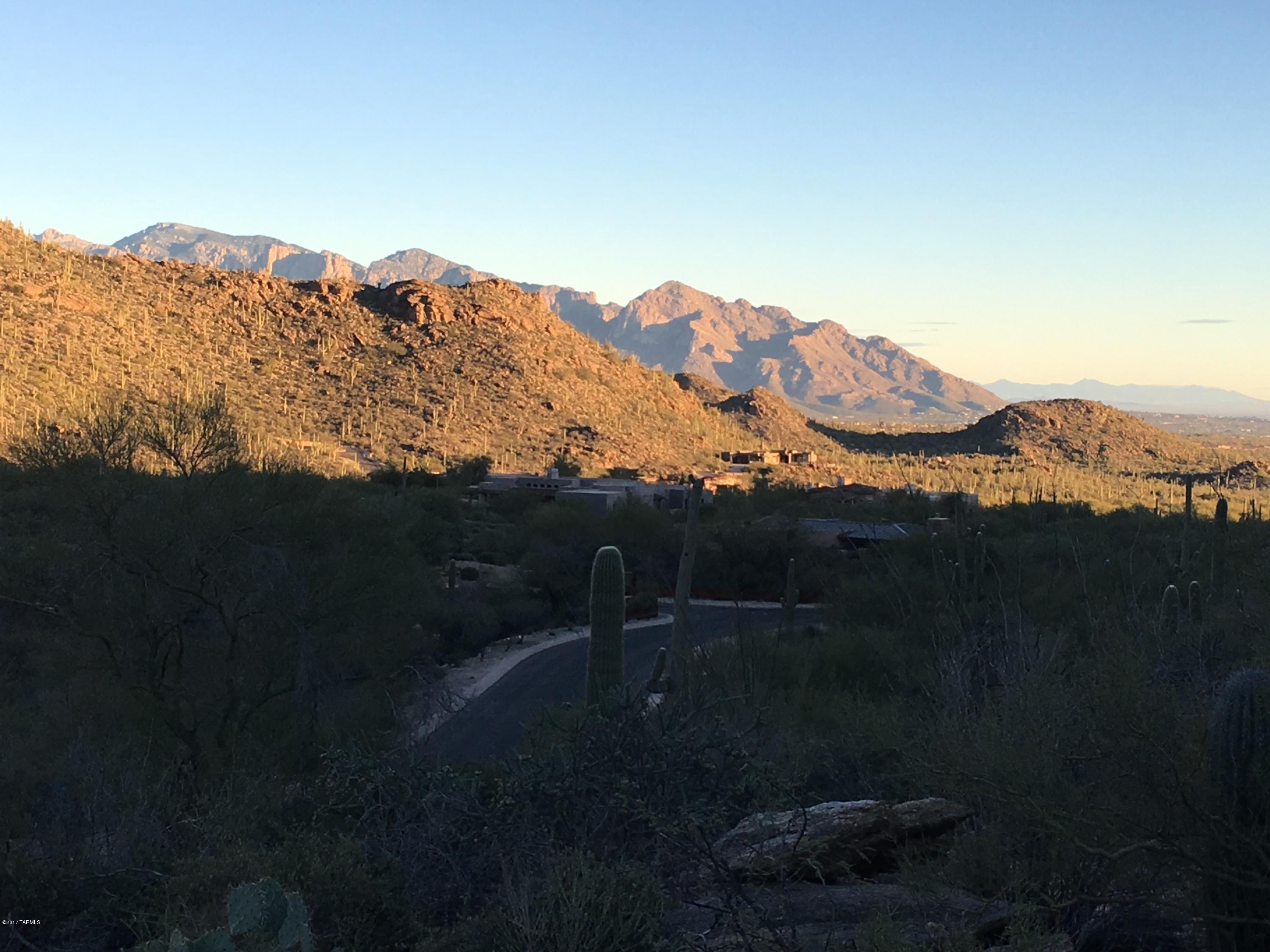Canyon Pass At Dove Mountain - Land