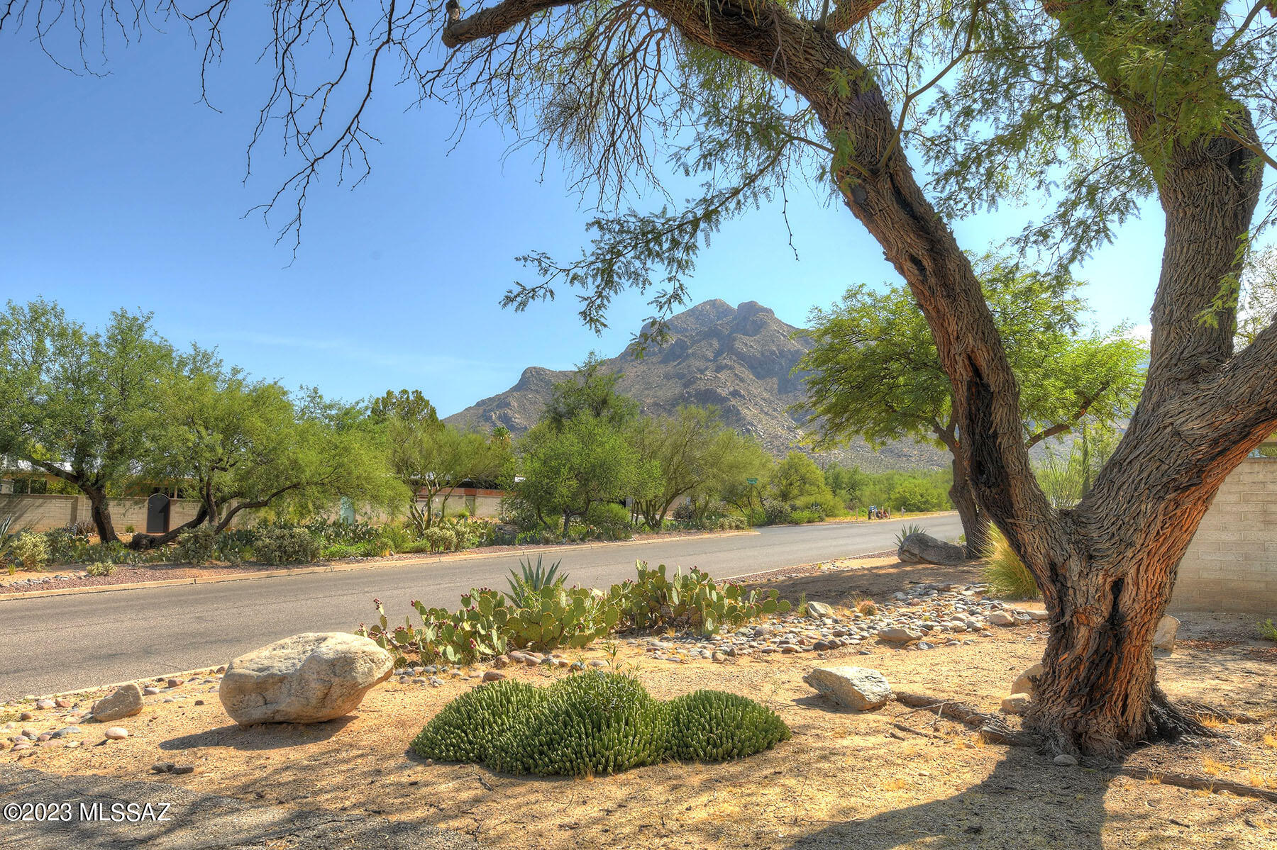 Verde Catalina Townhouses(1-149) - Residential