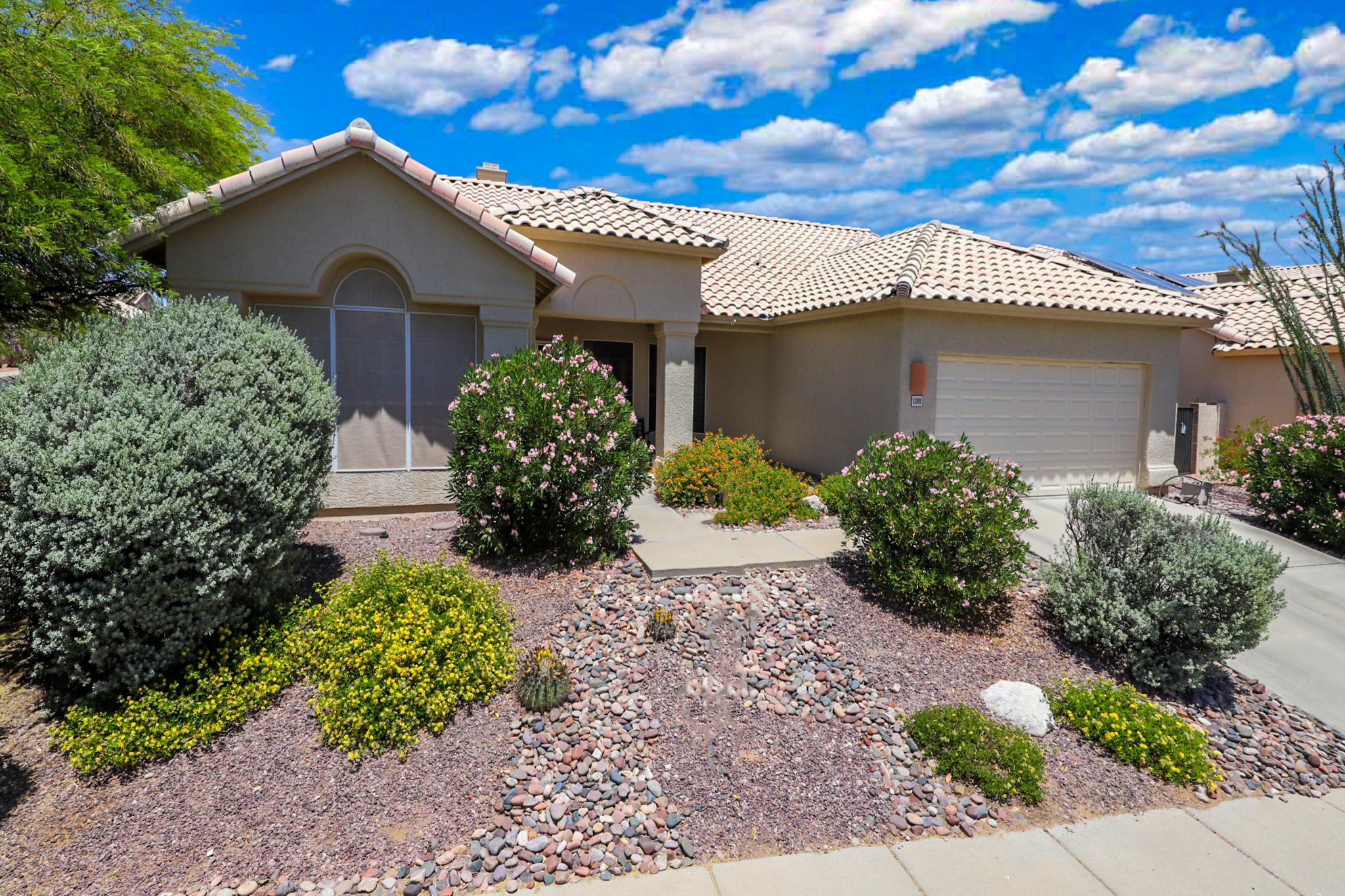 Copper Creek Single Level Living with formal dining area, front living area and family room. Granite kitchen counter tops with SS appliances. Kitchen also has a cute eat in area. Home has 4 bedrooms with a split floor plan. Guest bathroom has access to the outside so that no one has to get those wet pool feet all over the house! Large master bedroom with large walk-in closet, garden tub and separate shower. Pool in the private backyard with mature lemon tree! You also get great mountain views from the front patio only. Don't let this opportunity pass you buy to live in Copper Creek!