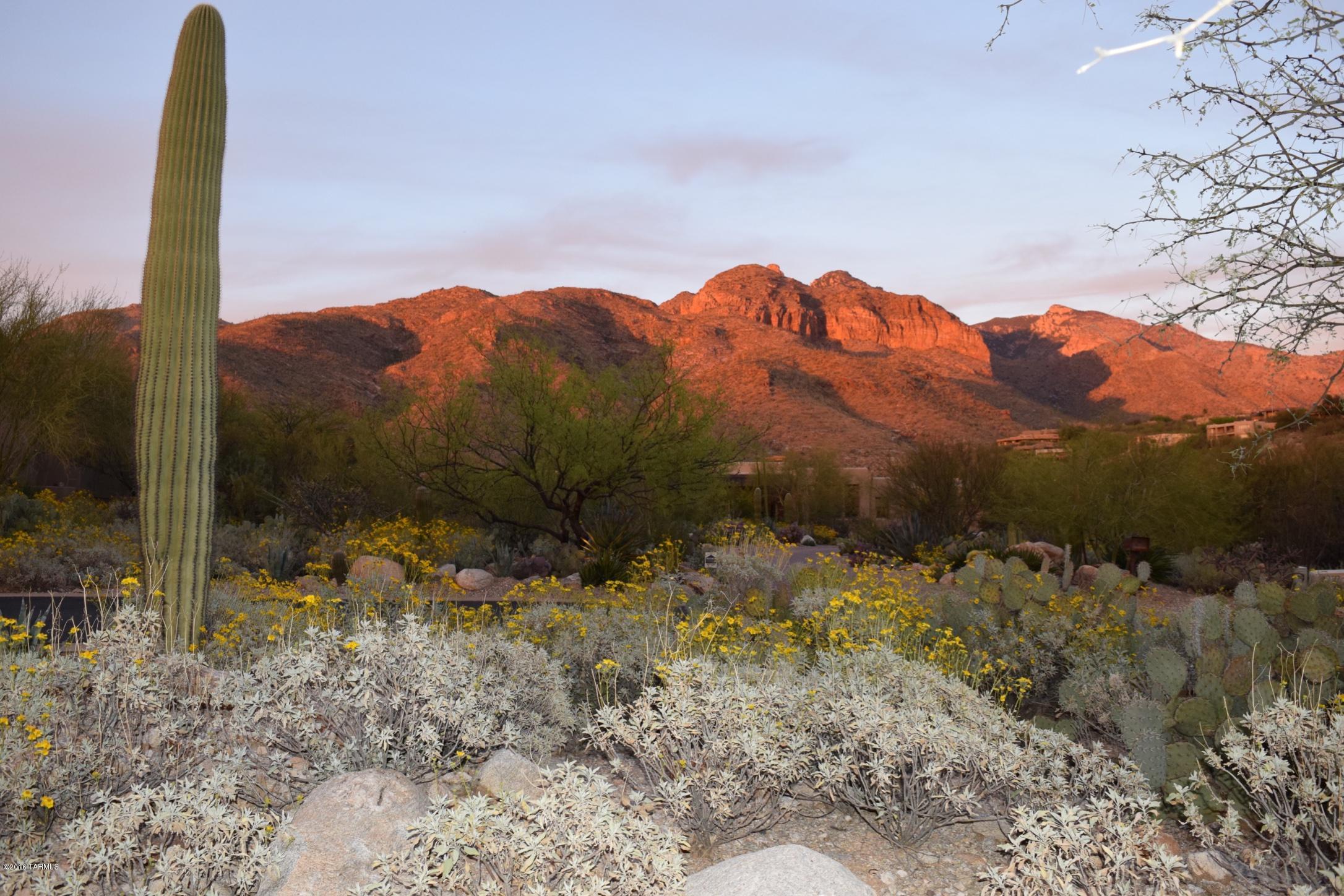 Pima Canyon Estates (1-176) - Residential Lease