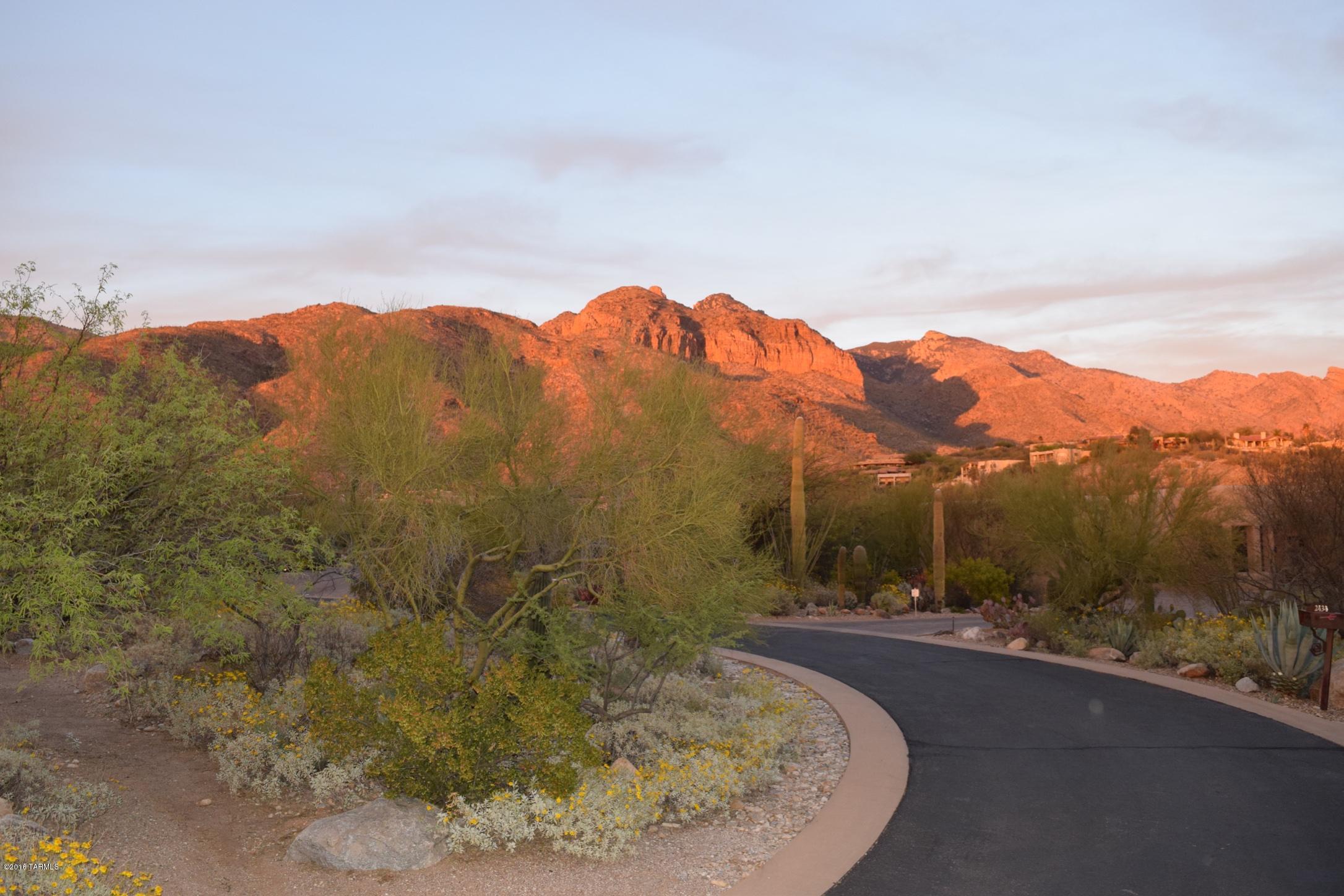Pima Canyon Estates (1-176) - Residential Lease