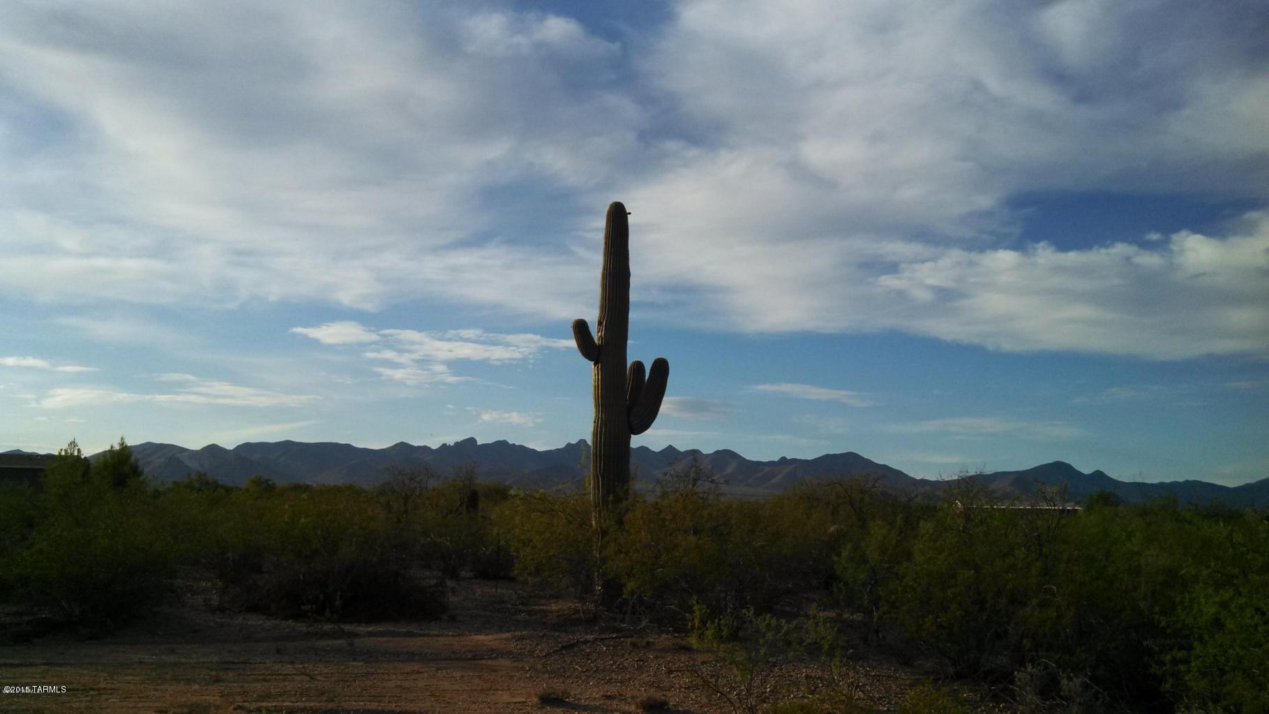 Corner Lot Horse Property is ~1,000' from Arizona State Trust Land which is within the Santa Rita Experimental Range and Wildlife Area. Property is located within Entrada Property Owner's Association. Road maintenance is included in Entrada POA. Lot has a recorded membership interest in private incorporated well share agreement.