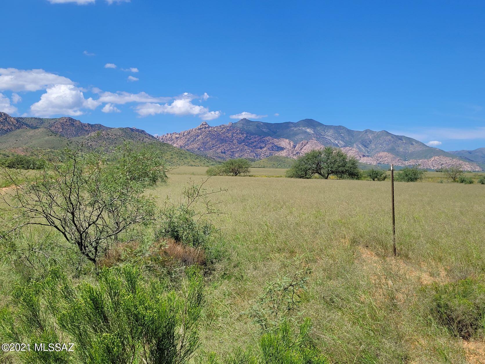 2.14 ACRE, FLAT LOT. Located on the corner of County maintained Desert and E Quinn Rd. Perfect Location to build your dream home! Pearce is located between the Cochise Stronghold, and the Chiricahua National Monument. The winter Sandhill Crane refuge of Whitewater Draw, making it popular for birders, history buffs, hikers, and climbers alike. At 4,400 feet of elevation, the area is also known for its milder summers which make it ideal for quality grapes and vineyards. 
Escape the chaos of the city and stake your claim in this AMAZING tranquil desert, Call Today!