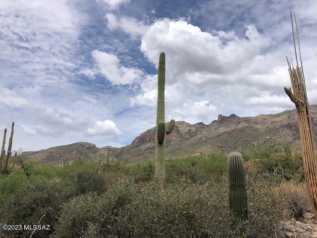 One of the very few vacant lots in this highly sought after, gated subdivision, THE FOOTHILLS II. Priced well BELOW RECENT APPRAISAL(see Documents). You'll love this ''close to everything'' location near the top of Alvernon in the CENTRAL FOOTHILLS. Create your building site with CITY and MOUNTAIN VIEWS. Re-direct natural drainage around home site. There's no regulated flood plain on the lot. May be your LAST CHANCE to build in this community of many MULTI-MILLION DOLLAR HOMES. AWARD WINNING District 16 schools, Sunrise Dr Elementary and Orange Middle; low HOA fees and reasonable CC&Rs add to the appeal. Go Show Today!