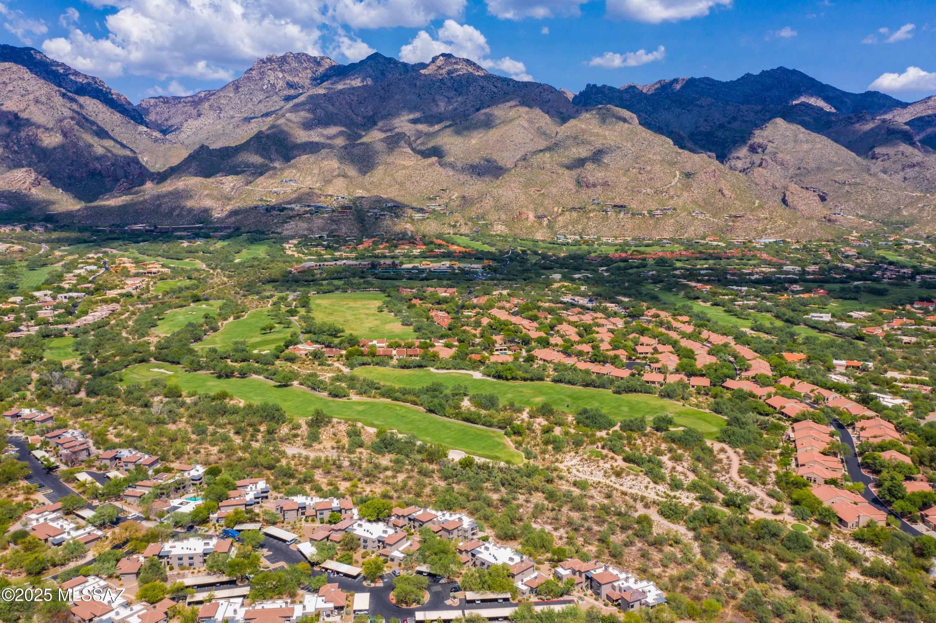 Greens at Ventana Canyon - Residential