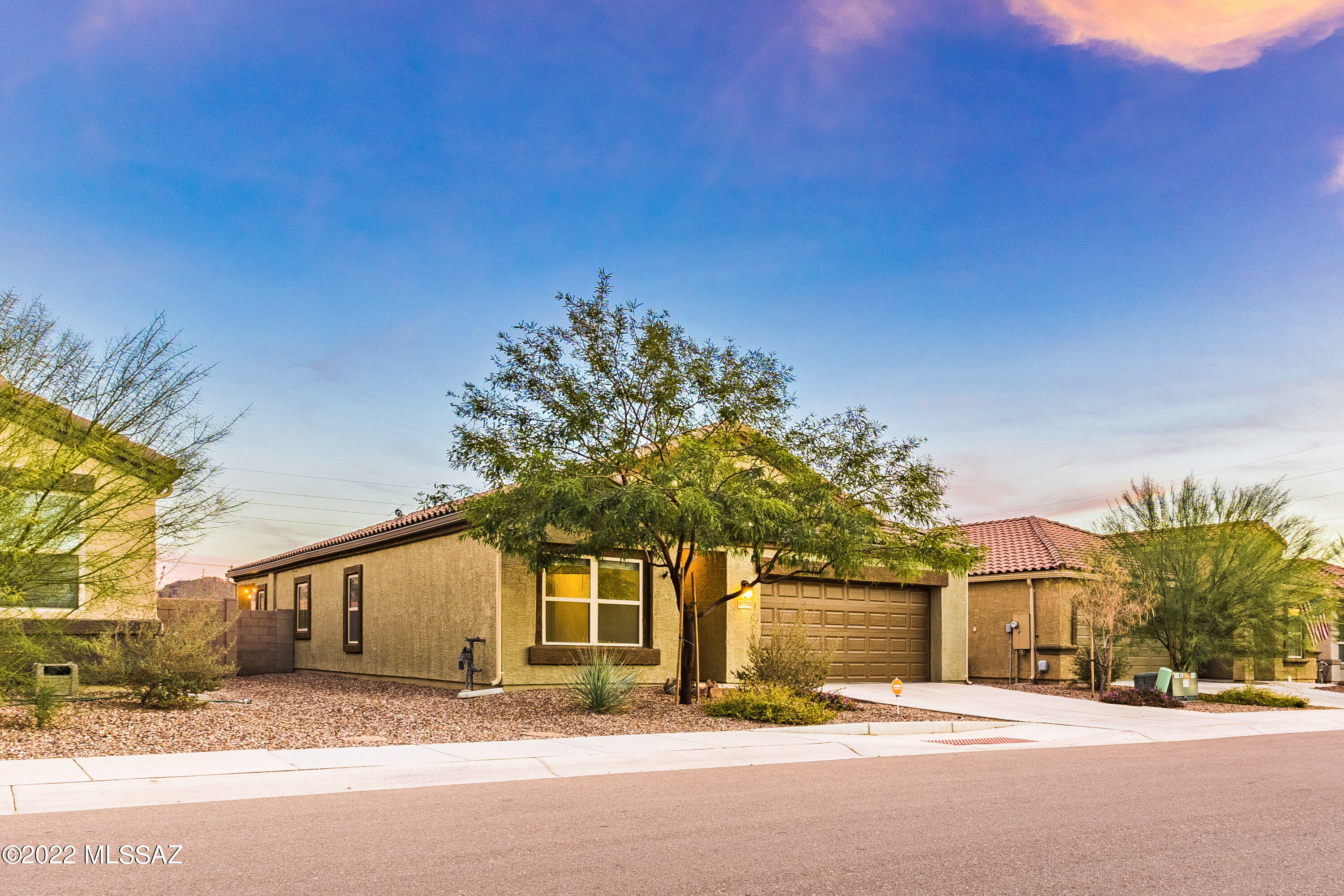 Saguaro Bloom SQ20180540069 - Residential