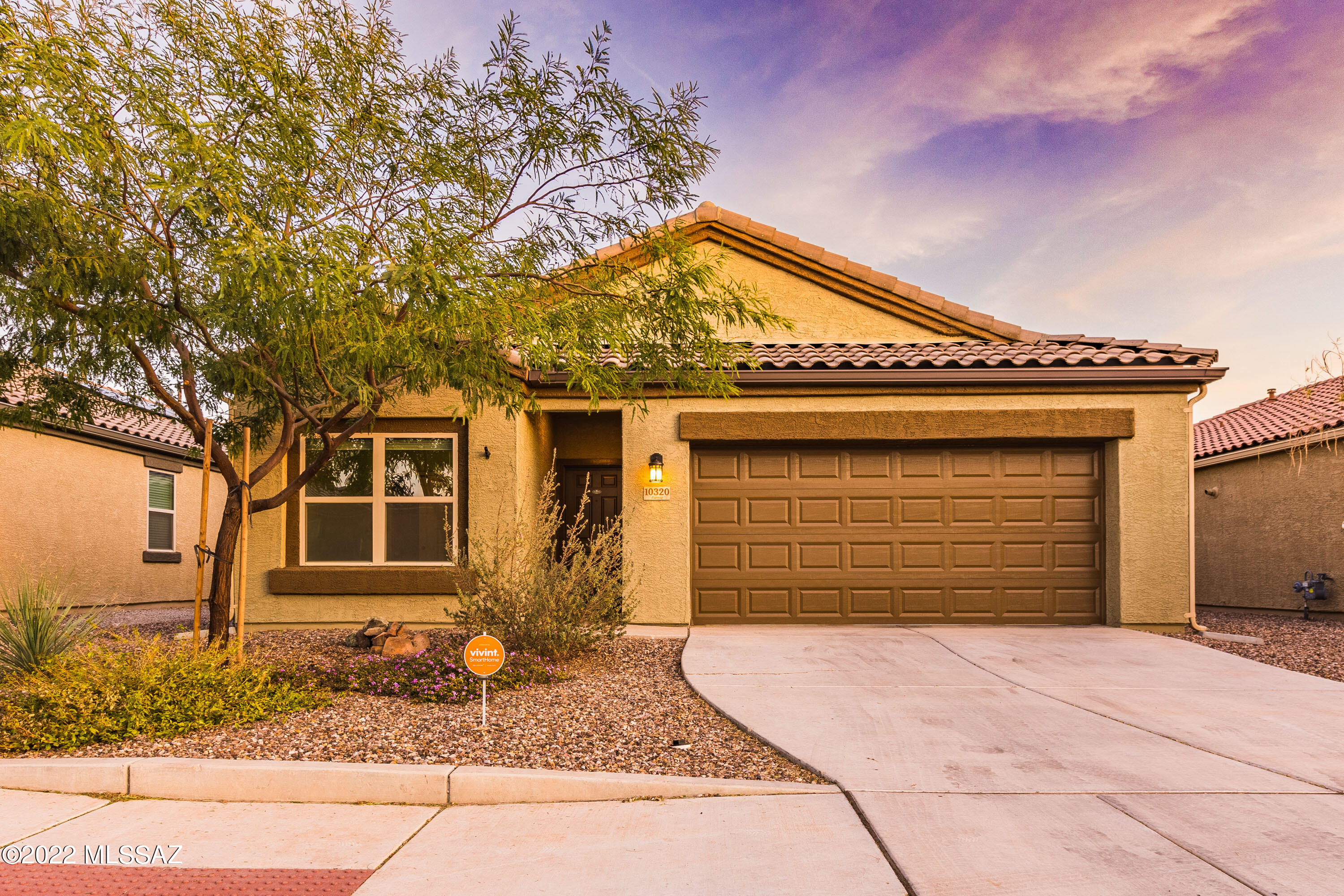 Saguaro Bloom SQ20180540069 - Residential