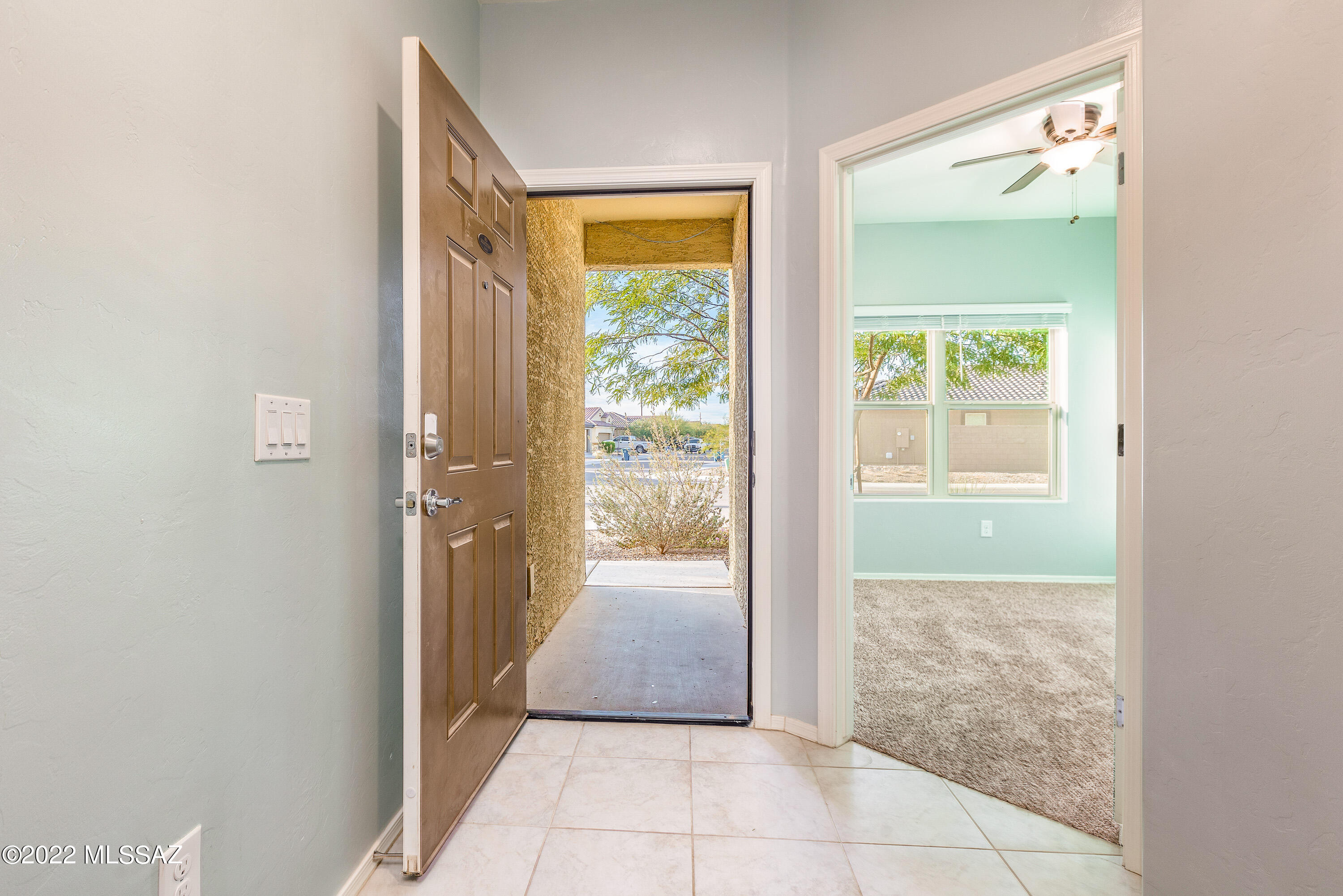 Saguaro Bloom SQ20180540069 - Residential