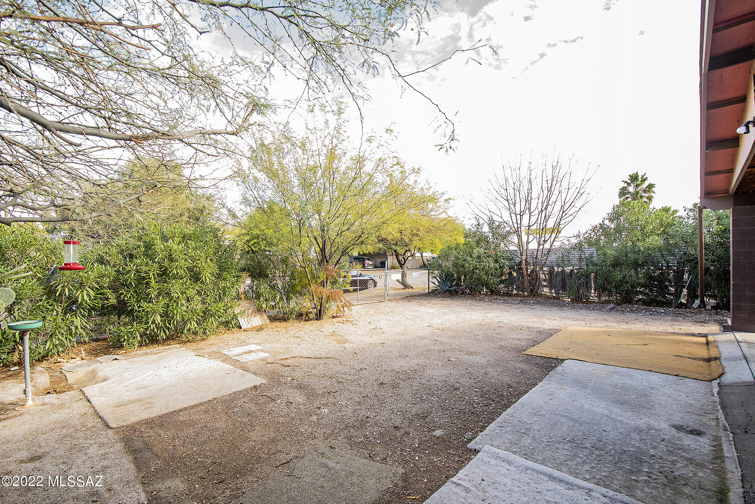 Bronx Park - Residential
