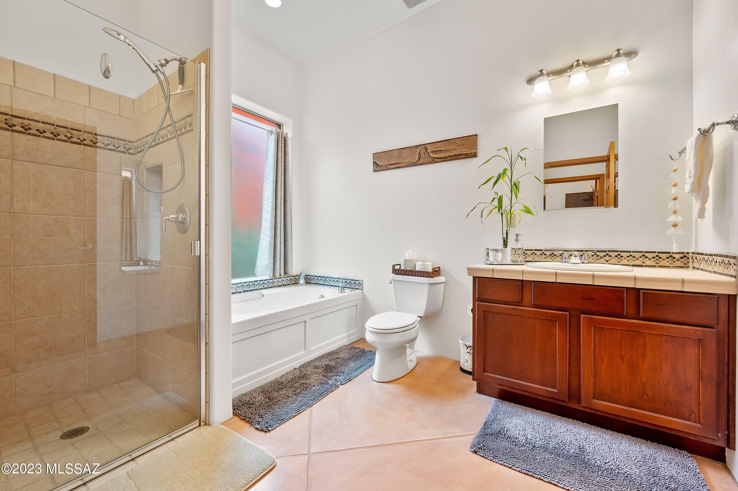 Armory Park Del Sol - Residential