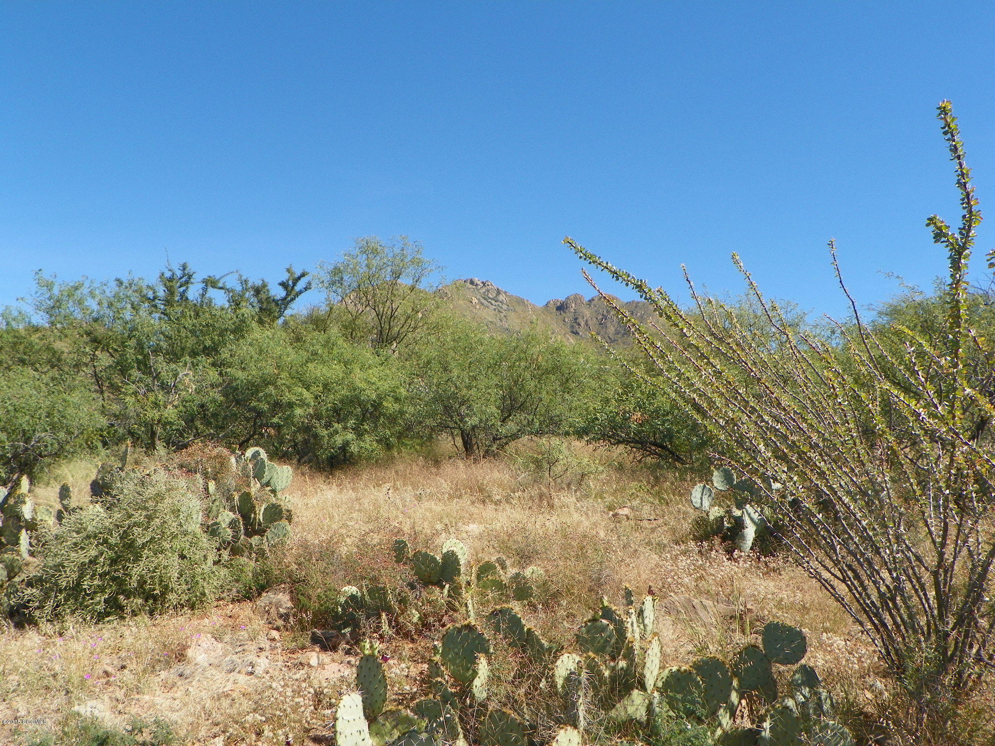 Rio Rico Ranchettes 17 - Land