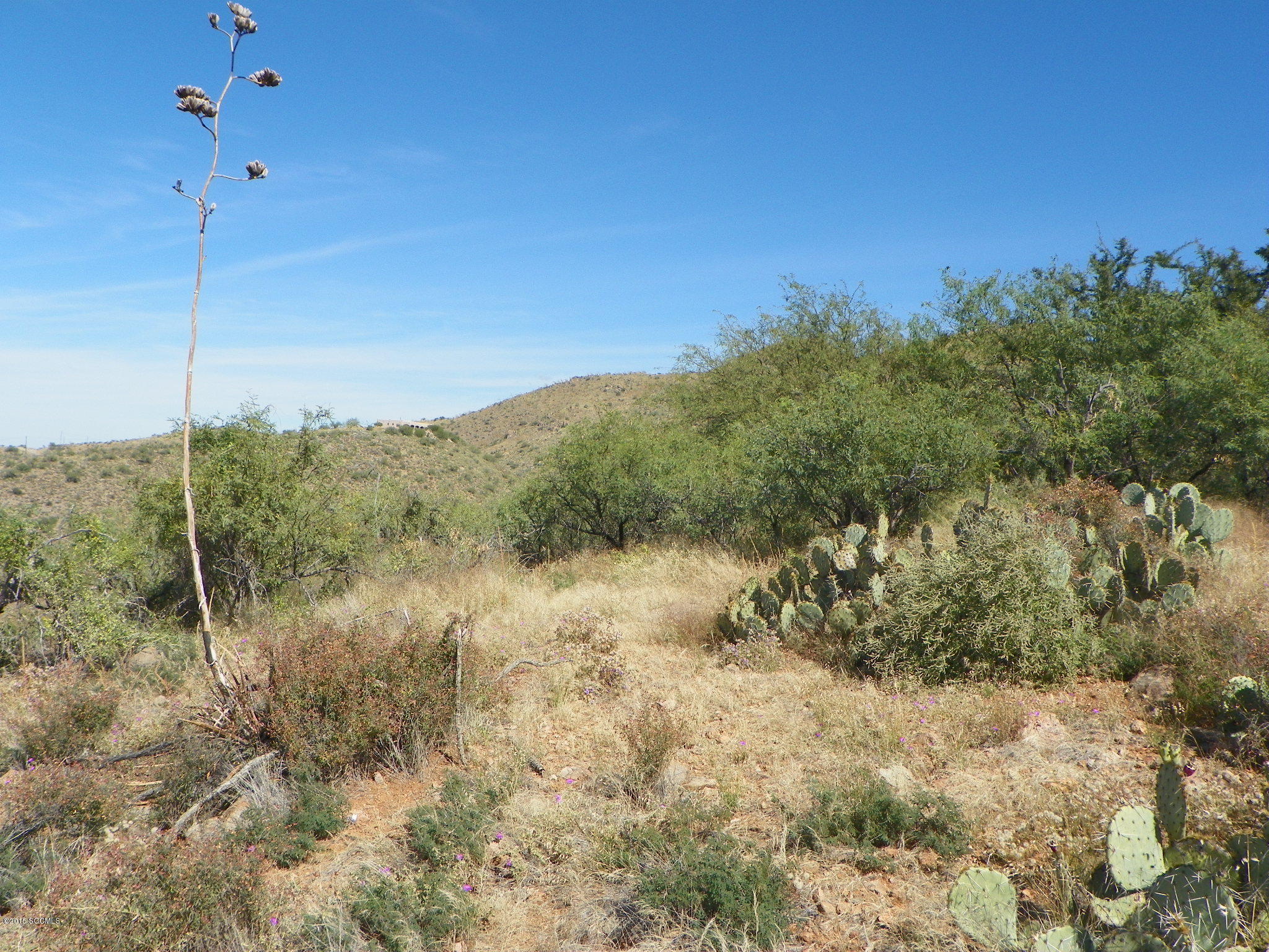 Rio Rico Ranchettes 17 - Land