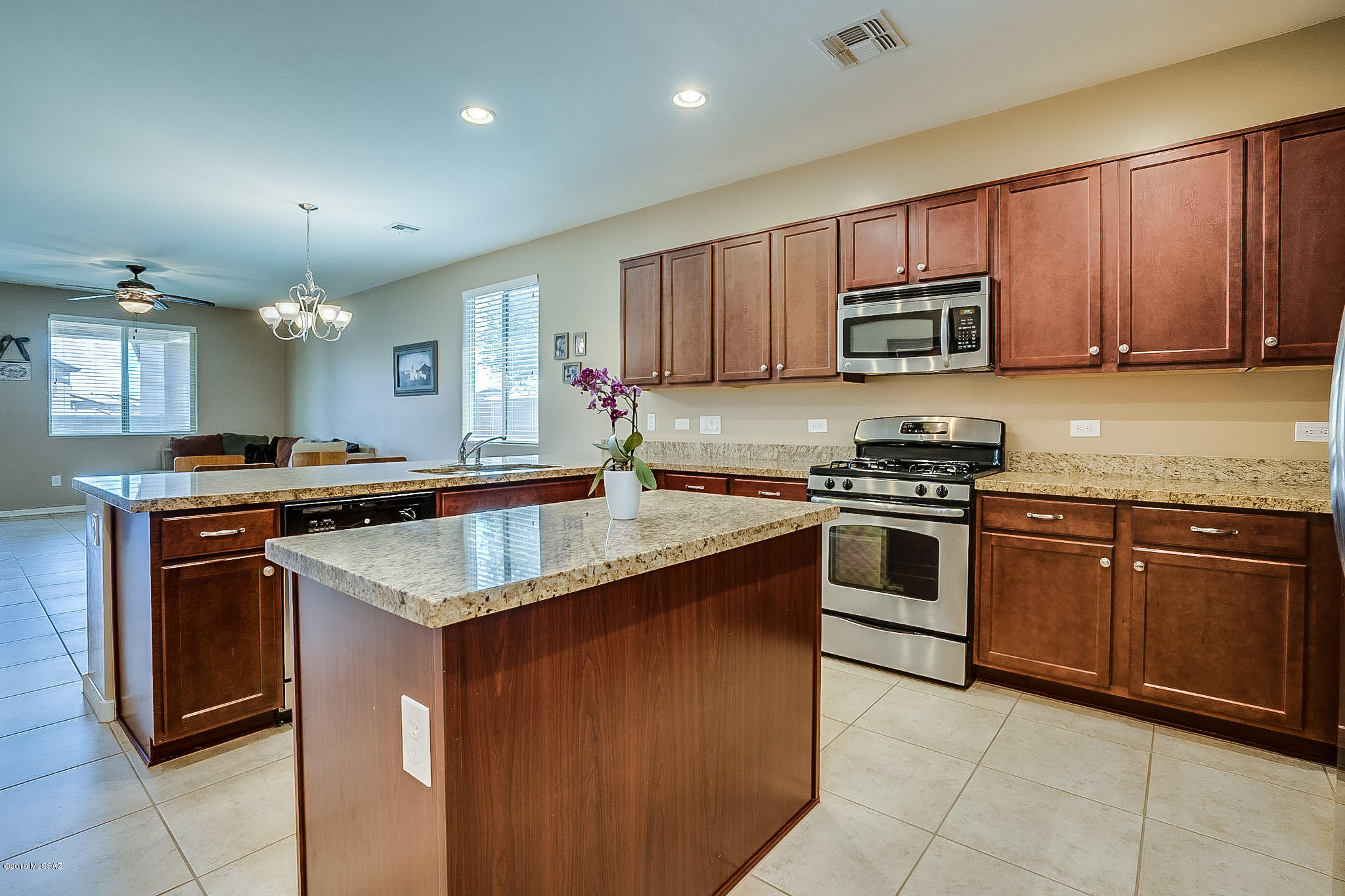 Rancho Vistoso NGHB 10 PCLS S,U & V - Residential