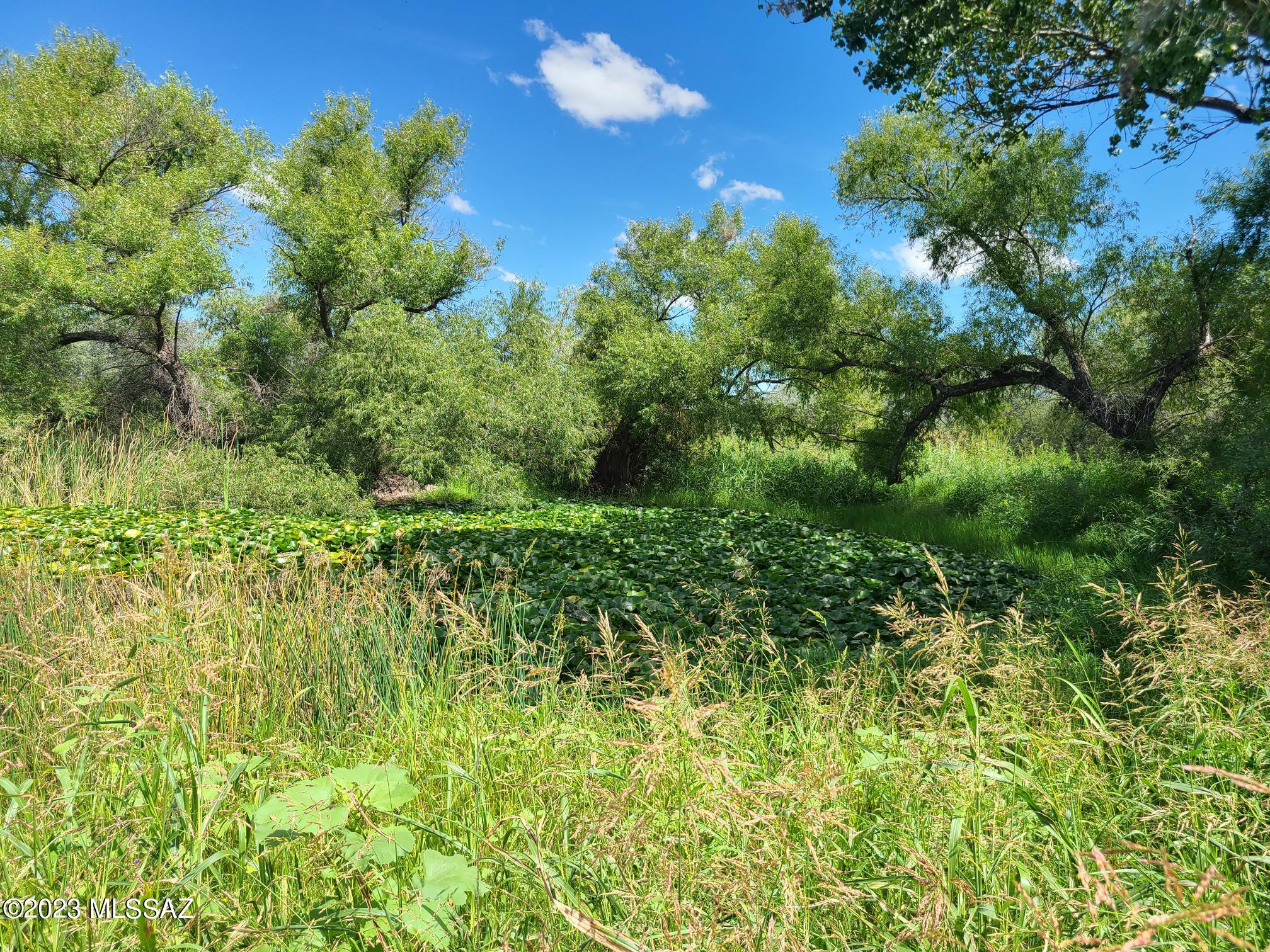 100 acres row farm fields with 1 irrigation well plus artesian well and pond. Direct access to BLM.