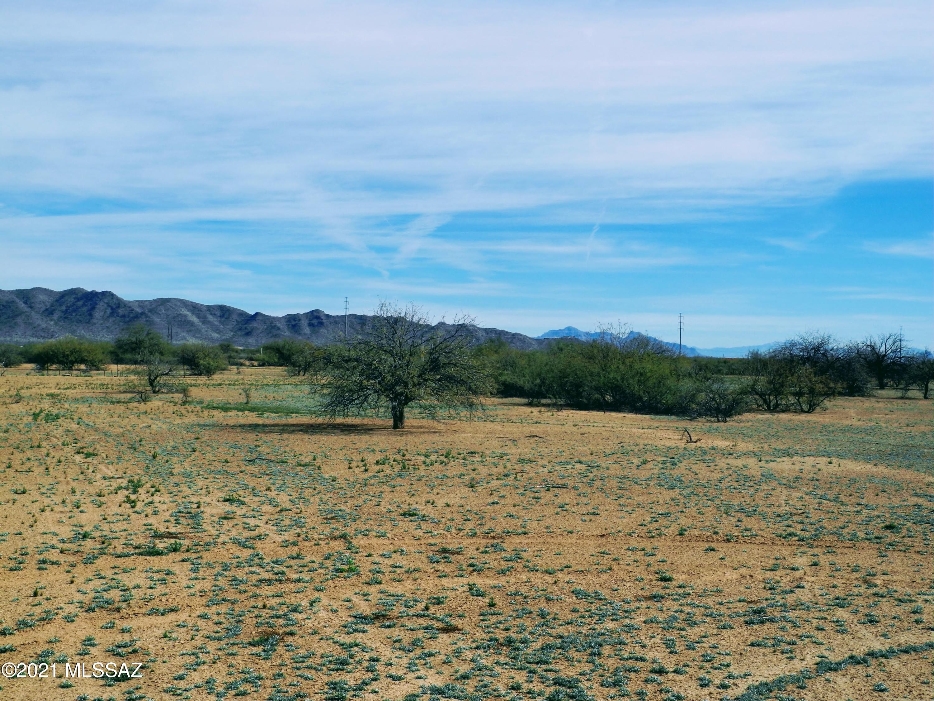 Out Of Pima County - Land