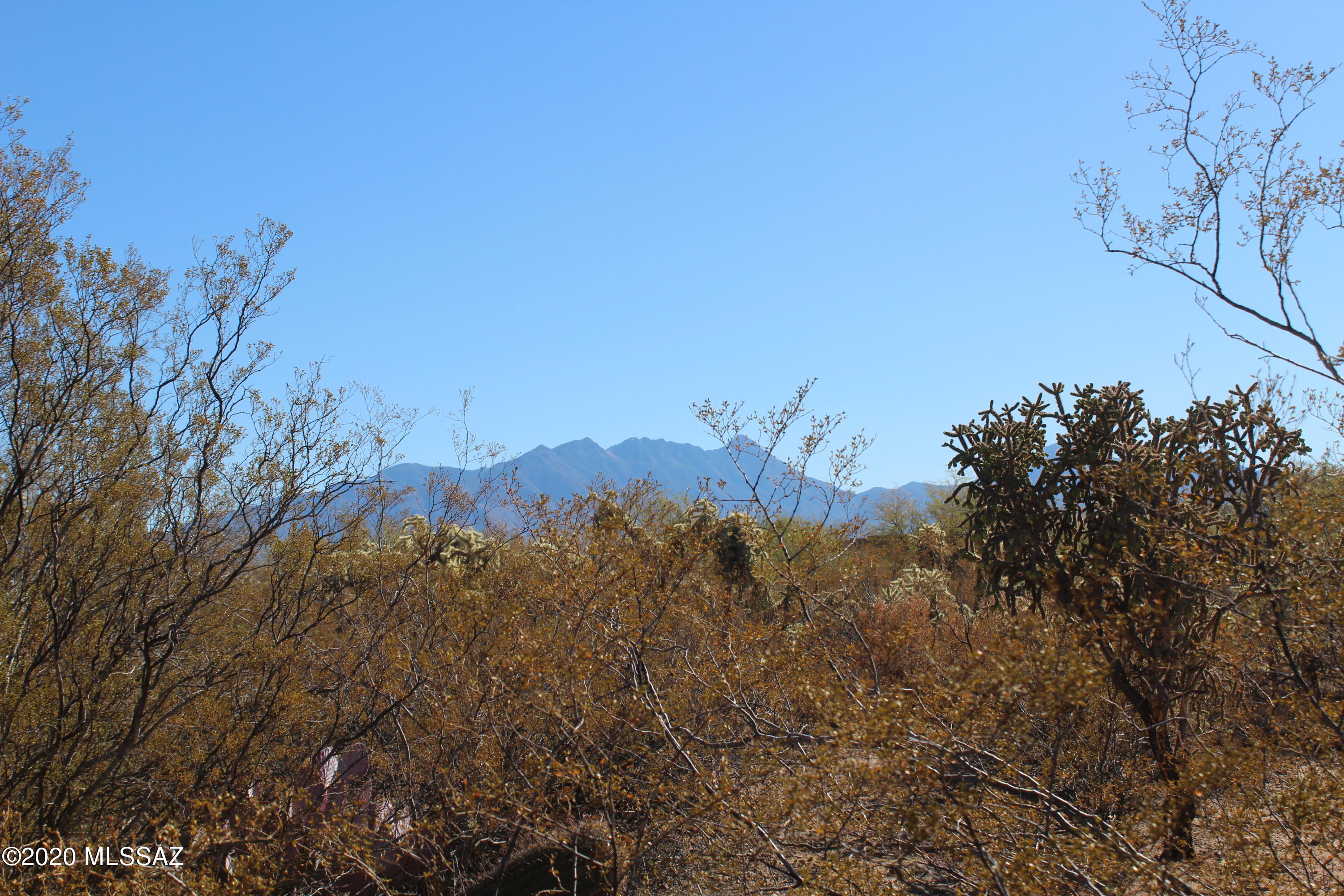 Madera Reserve Phase II (131-263) - Land
