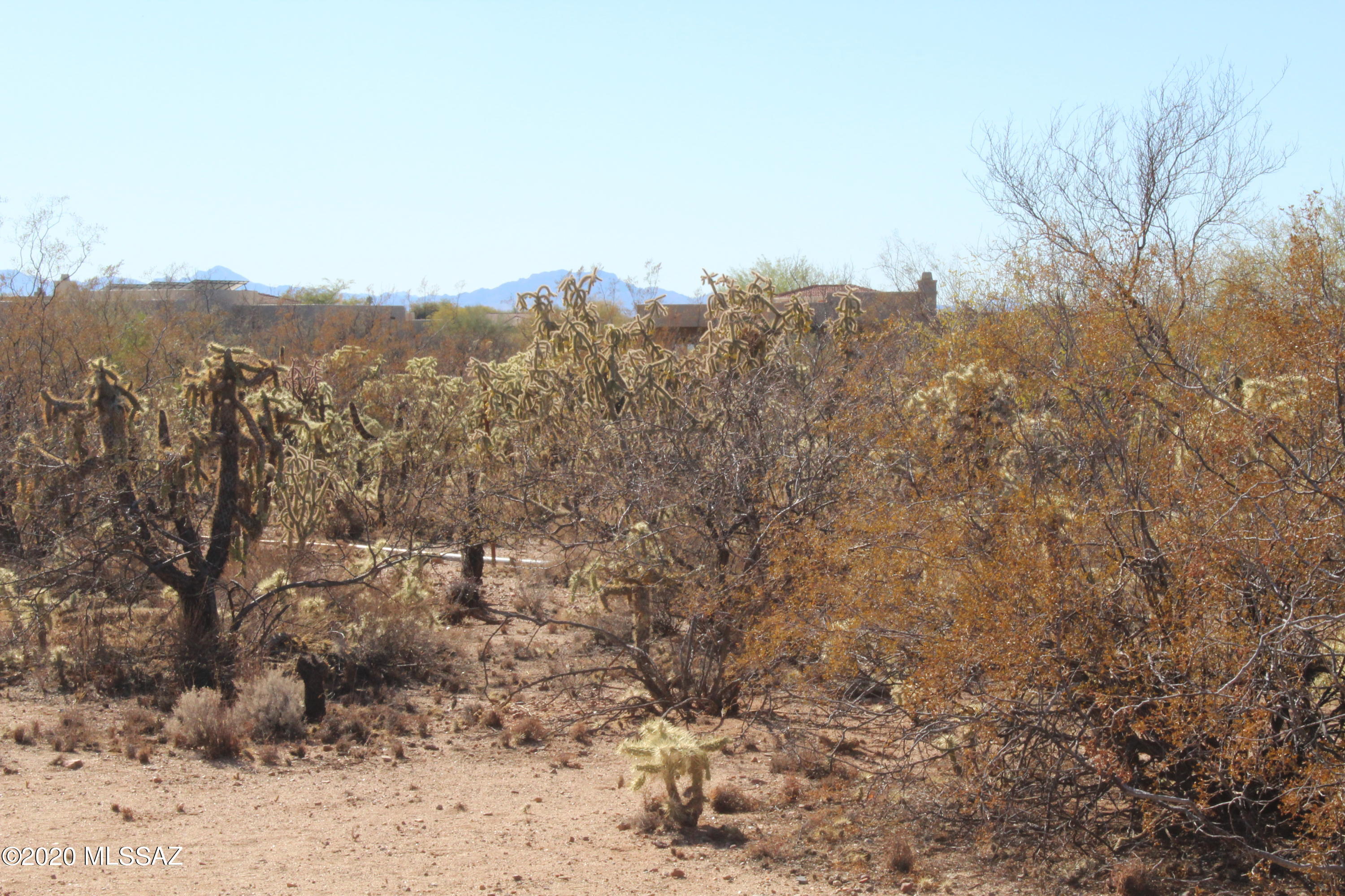 Madera Reserve Phase II (131-263) - Land